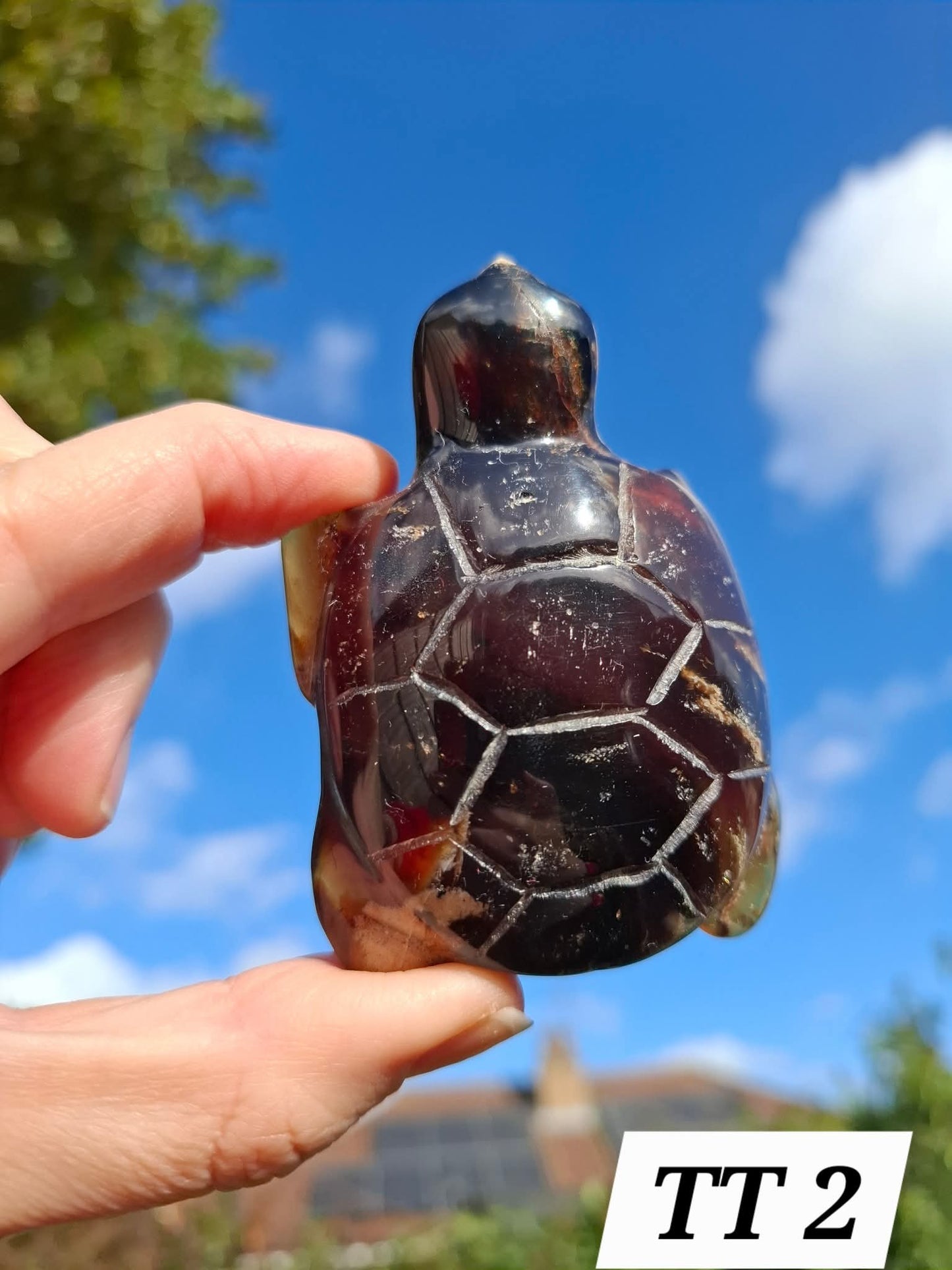 Red Amber Turtle, 56.87g, Carving, Fossil (Ref: TT2)