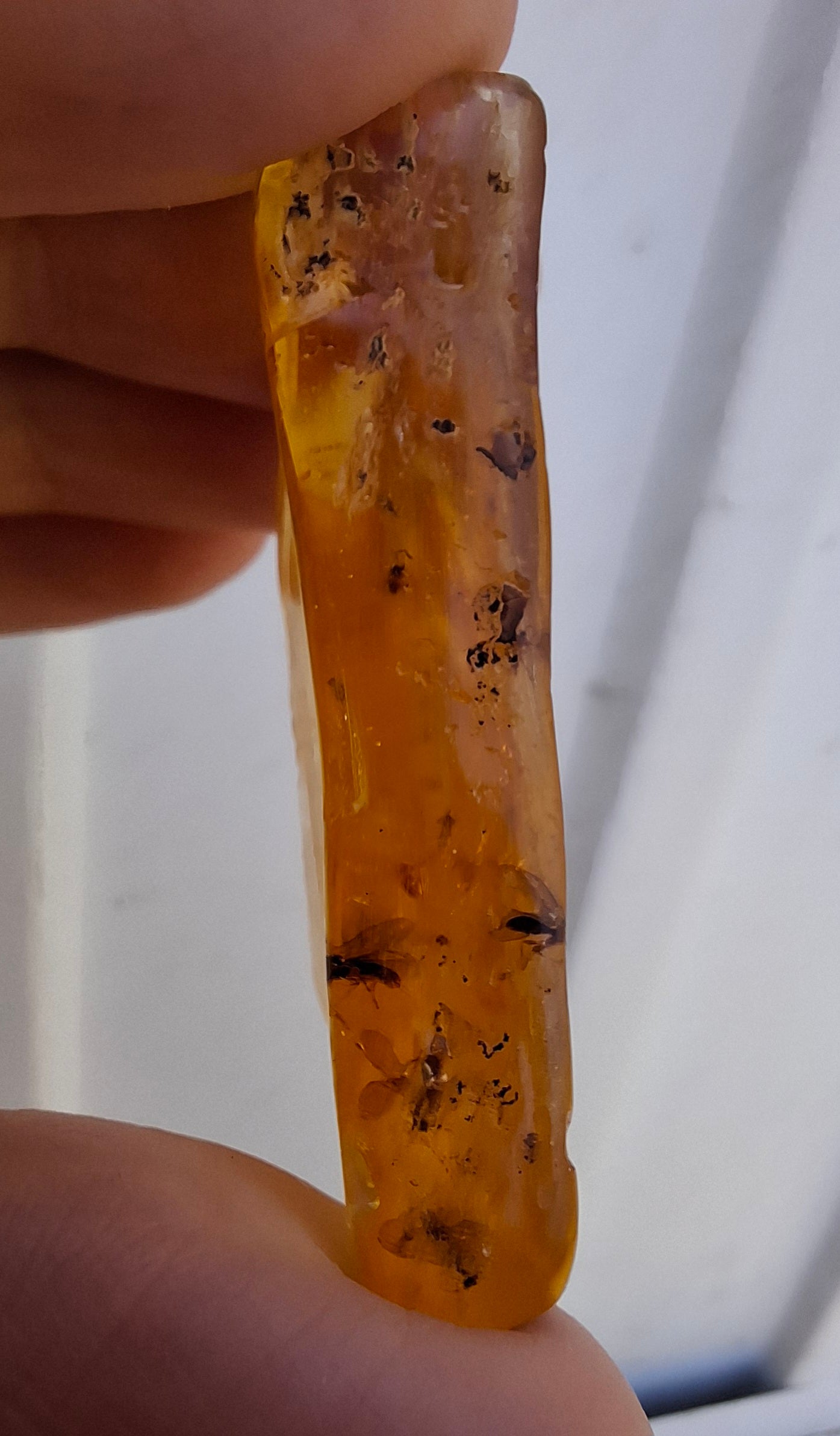 Copal Young Amber with INSECTS inside, 8.39g, Fossil (Ref: CA31)