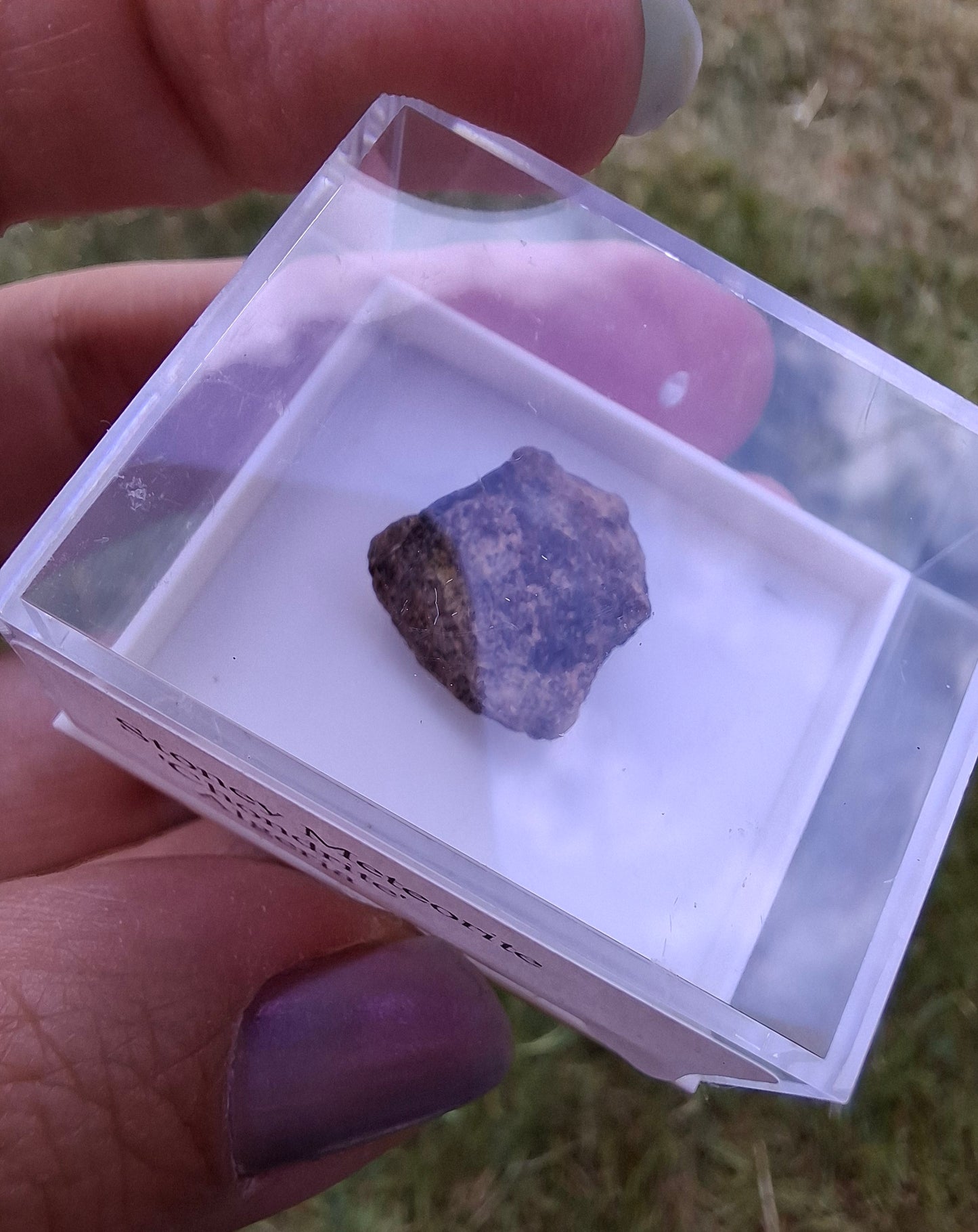 Chondrite, Meteorite (Ref: CM6)