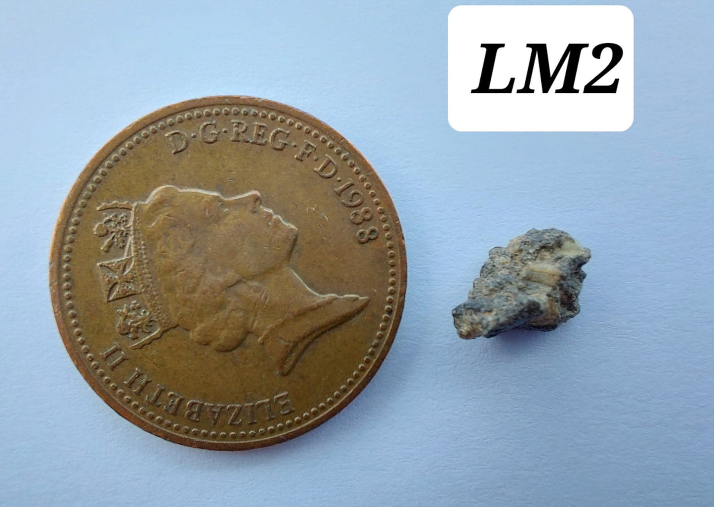 Lunar Meteorite, 0.23g, 'Moon Rock'(Ref: LM2)