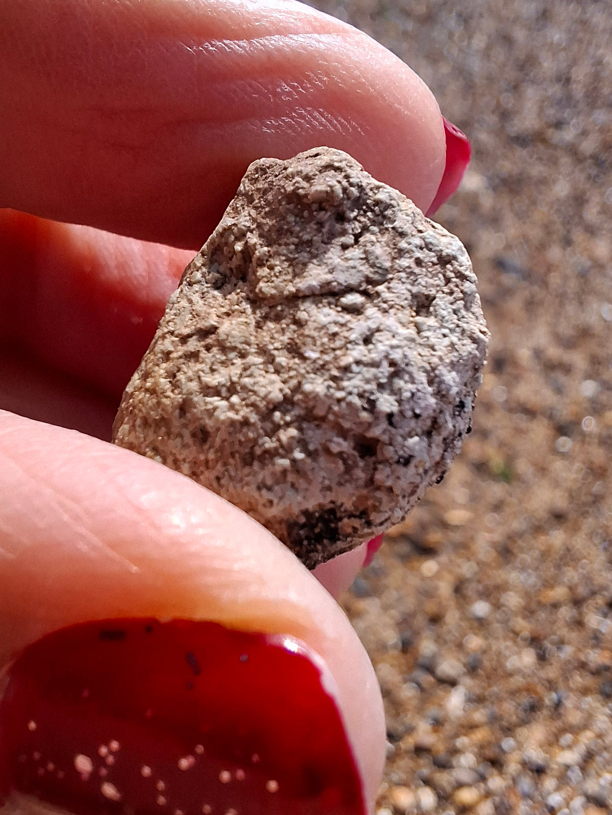 Sauropod Dinosaur Coprolite, 7.32g, Fossil (Ref: DP4)