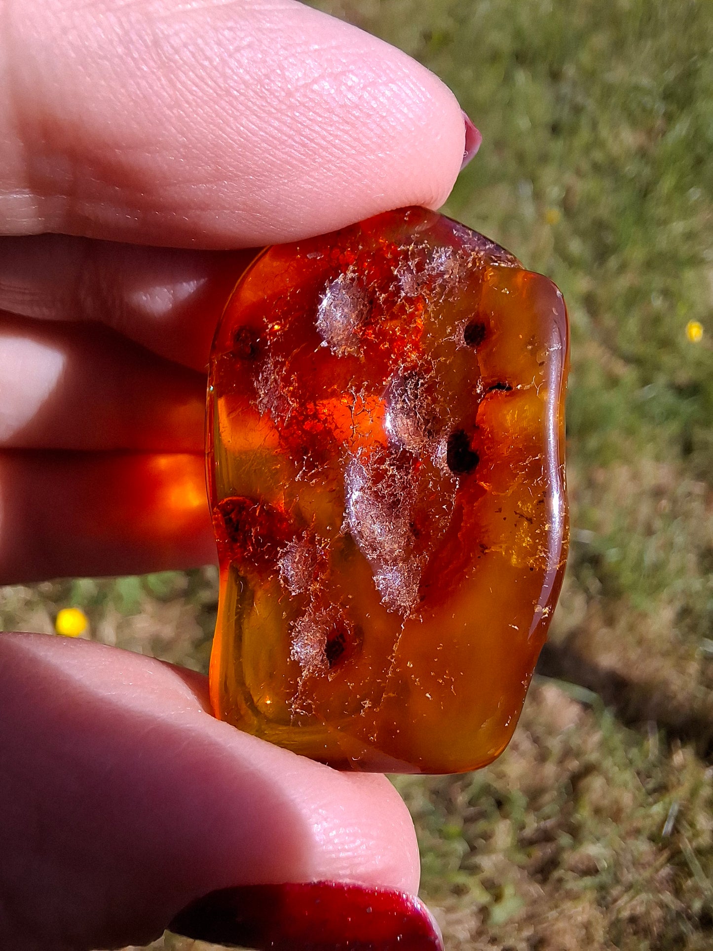 Baltic Amber, 4.50g, Fossil (Ref: A151)