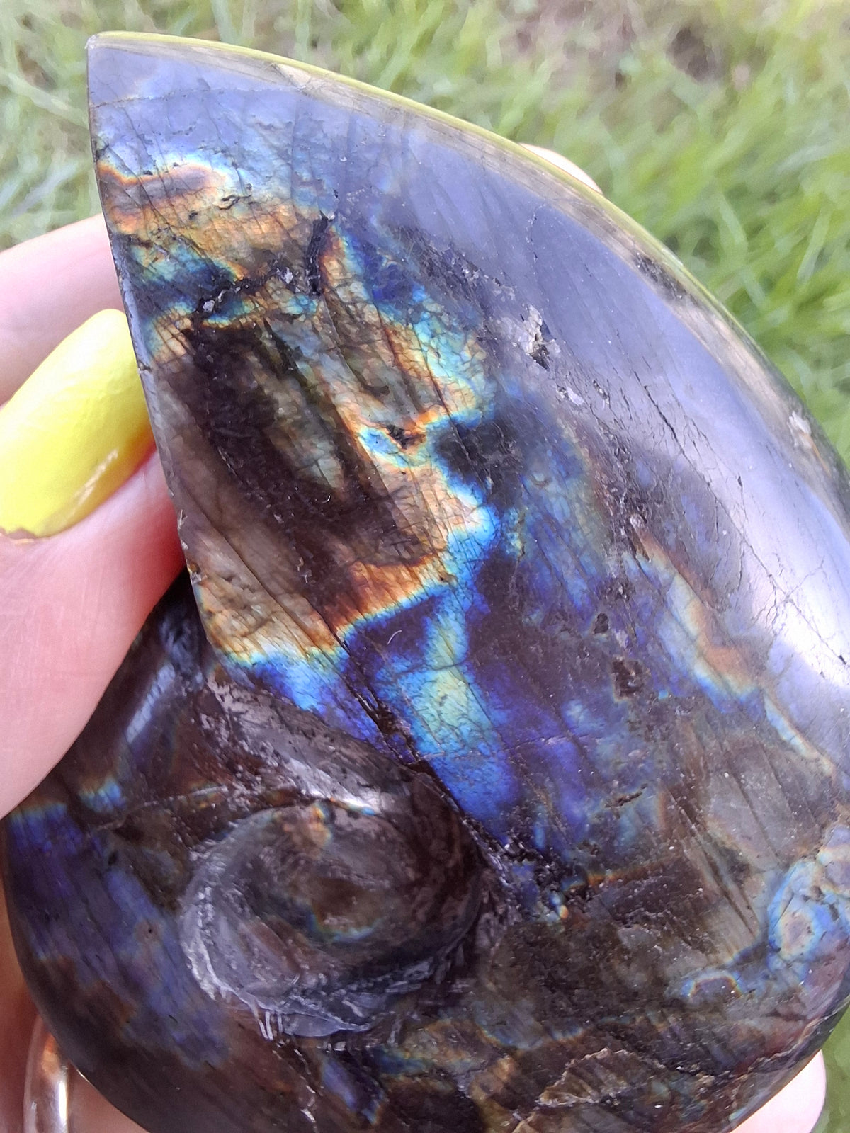 Labradorite Ammonite Carving, 153.97g, Crystal (Ref: laba2)