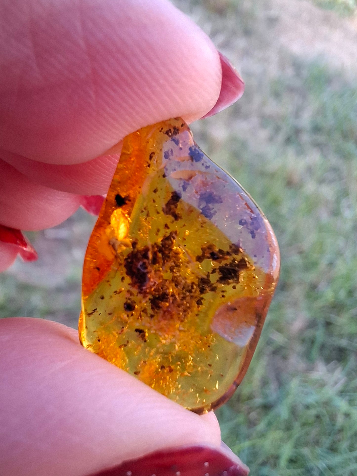 Baltic Amber, 1.13g, Fossil (Ref: A241)