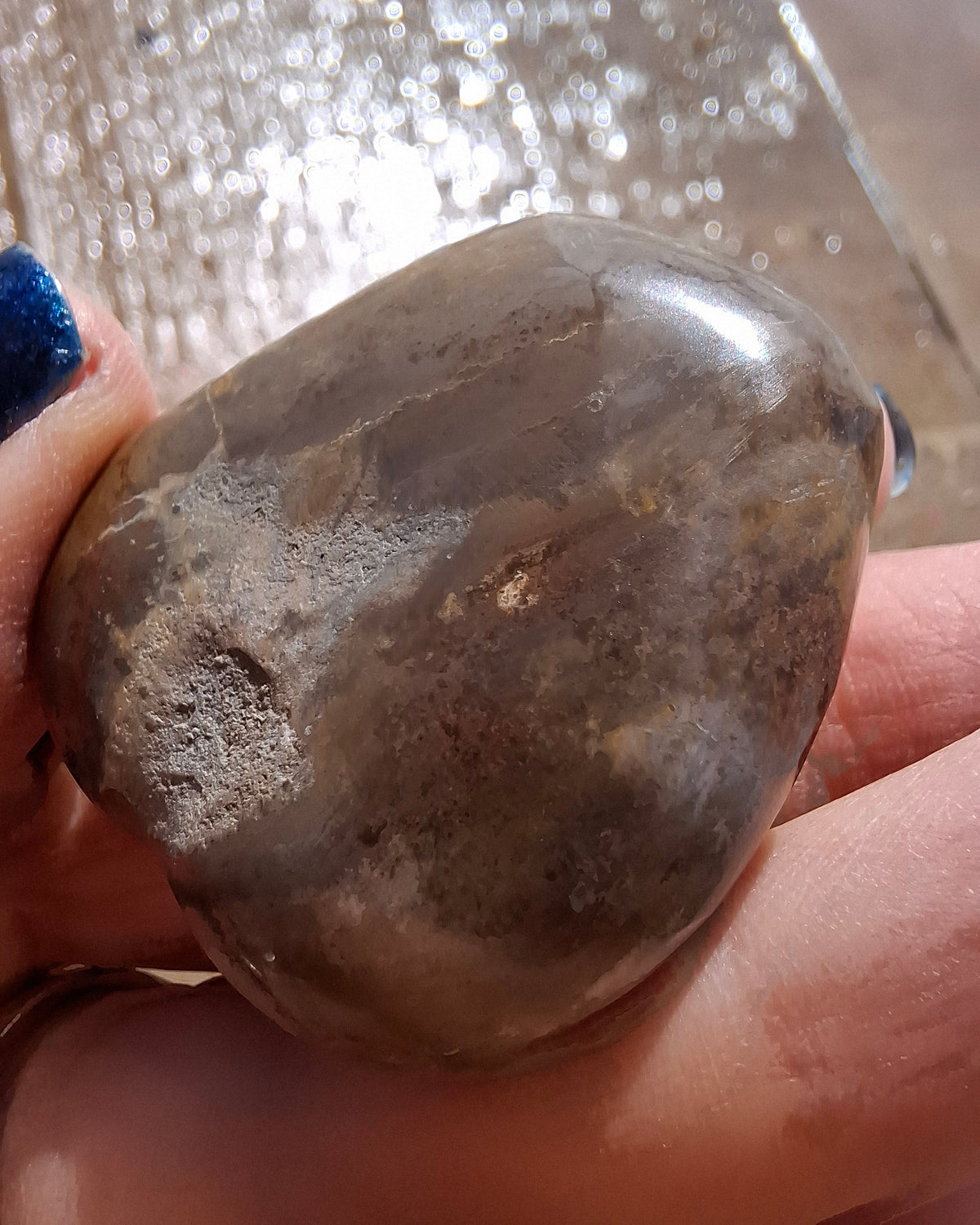 Polished Sea Urchin, Fossil (Ref: SU3)