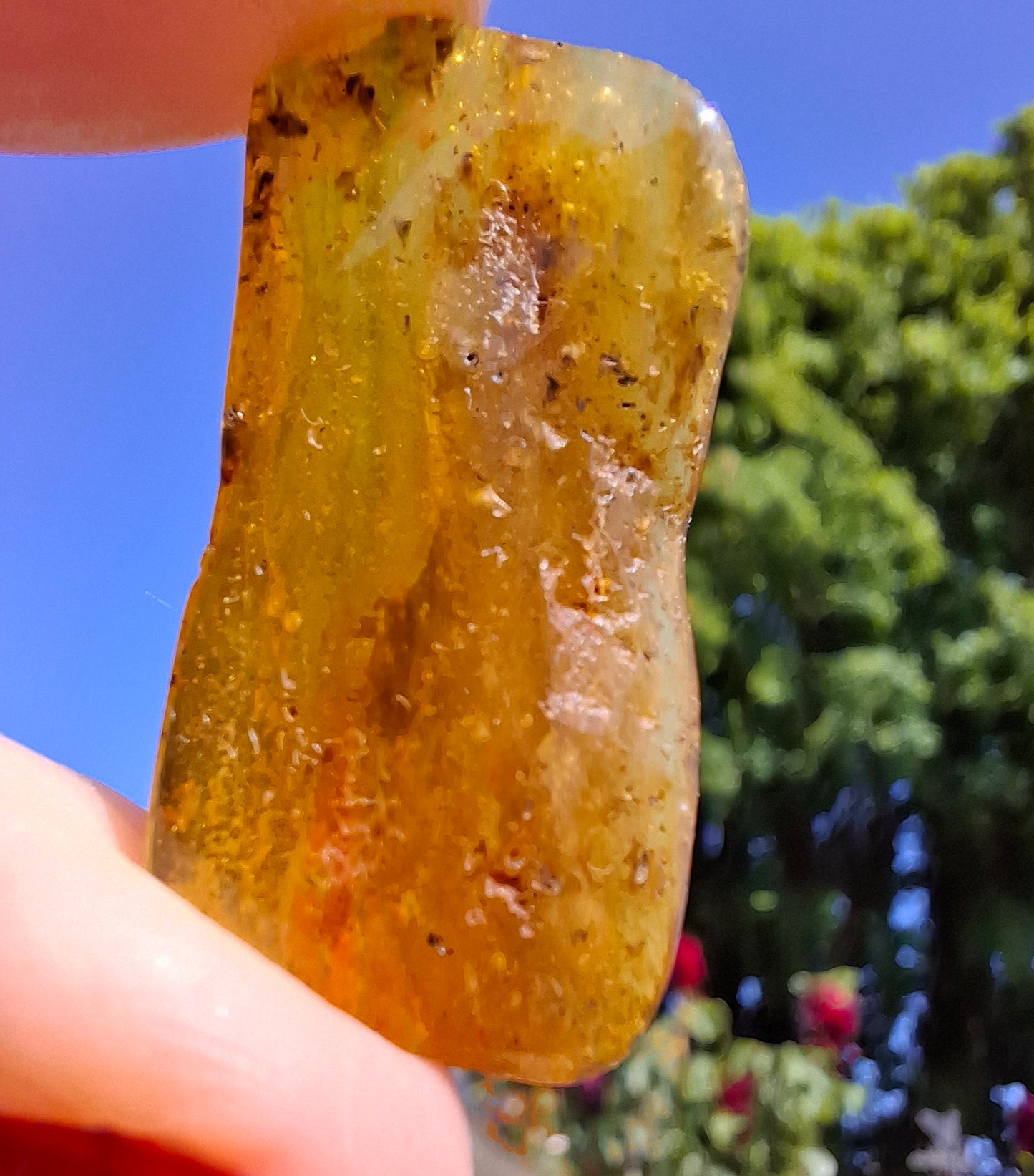 Baltic Amber, 1.84g, Fossil (Ref: A193)