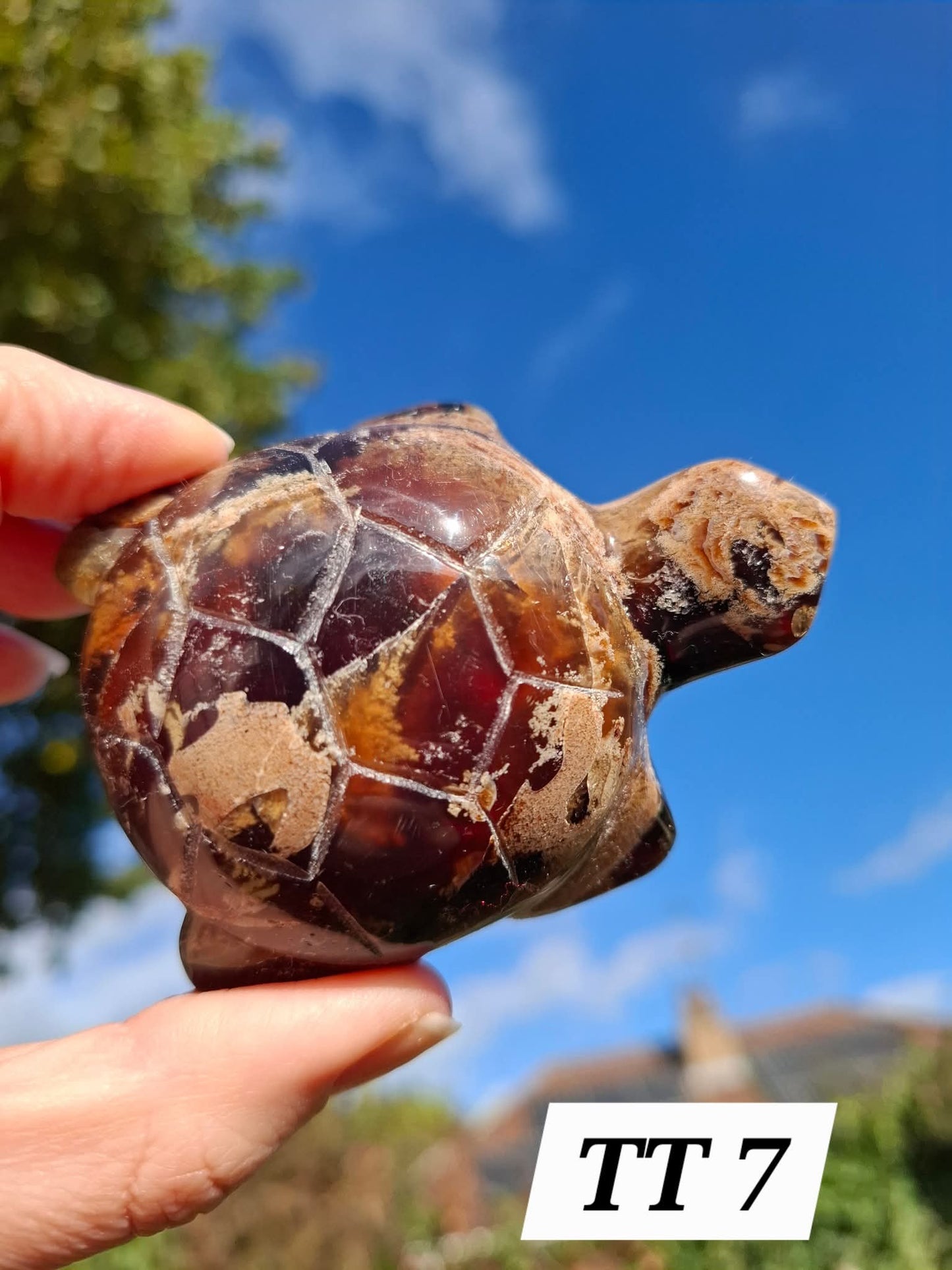 Red Amber Turtle, 56.87g, Carving, Fossil (Ref:TT7)
