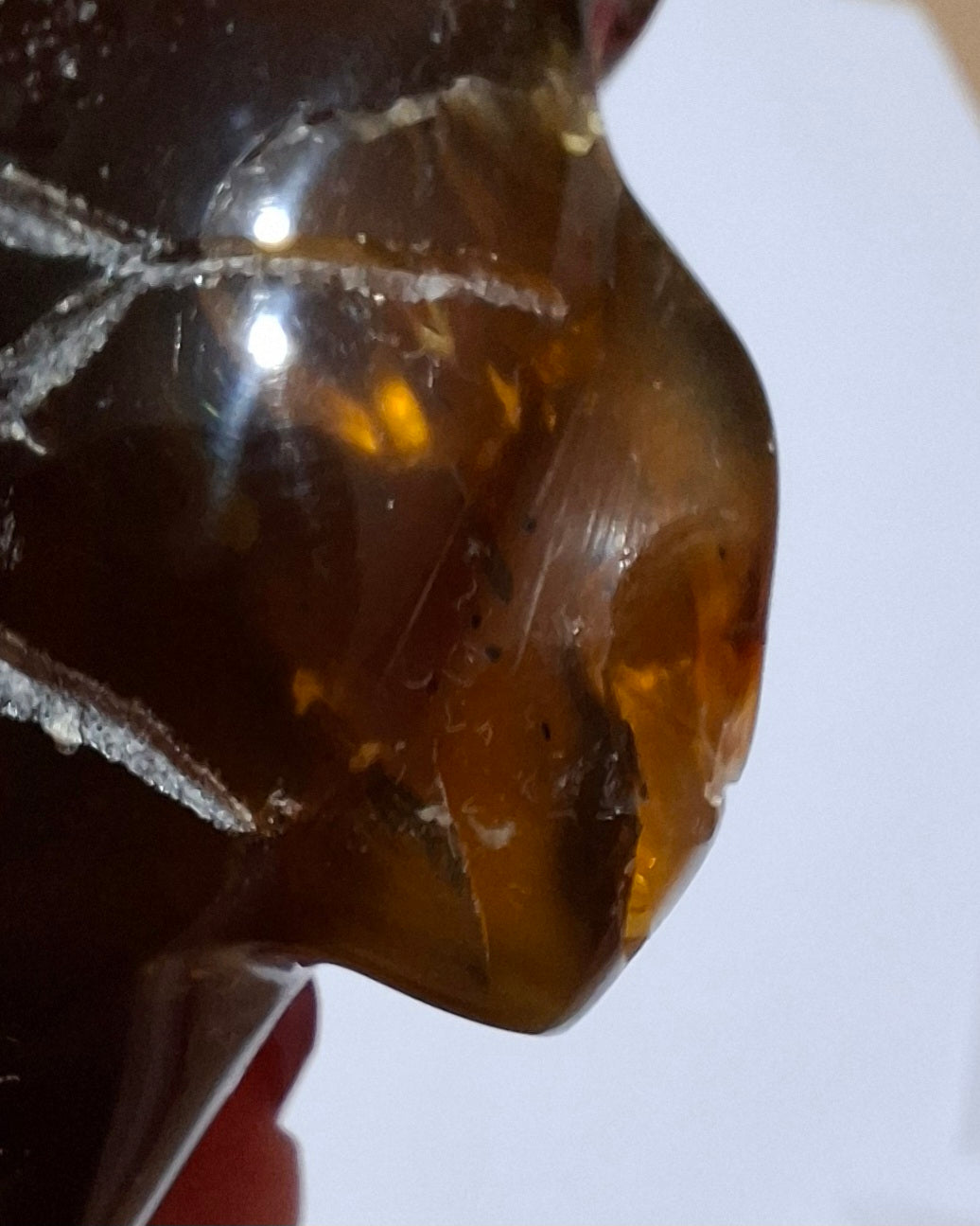 Red Amber Turtle, 49.15g, Carving, Fossil (Ref: TT1)