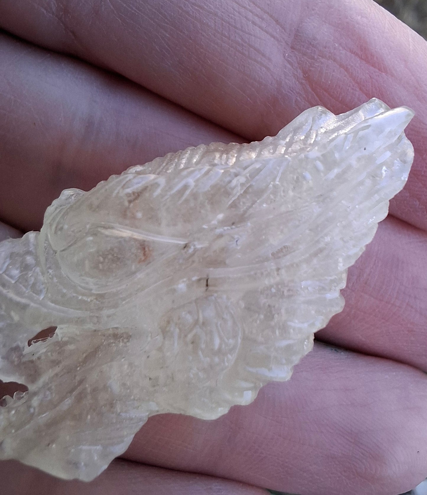 Libyan Desert Glass DRAGON HEAD carving, 9.66g, Tektite (Ref: Dragon 3)