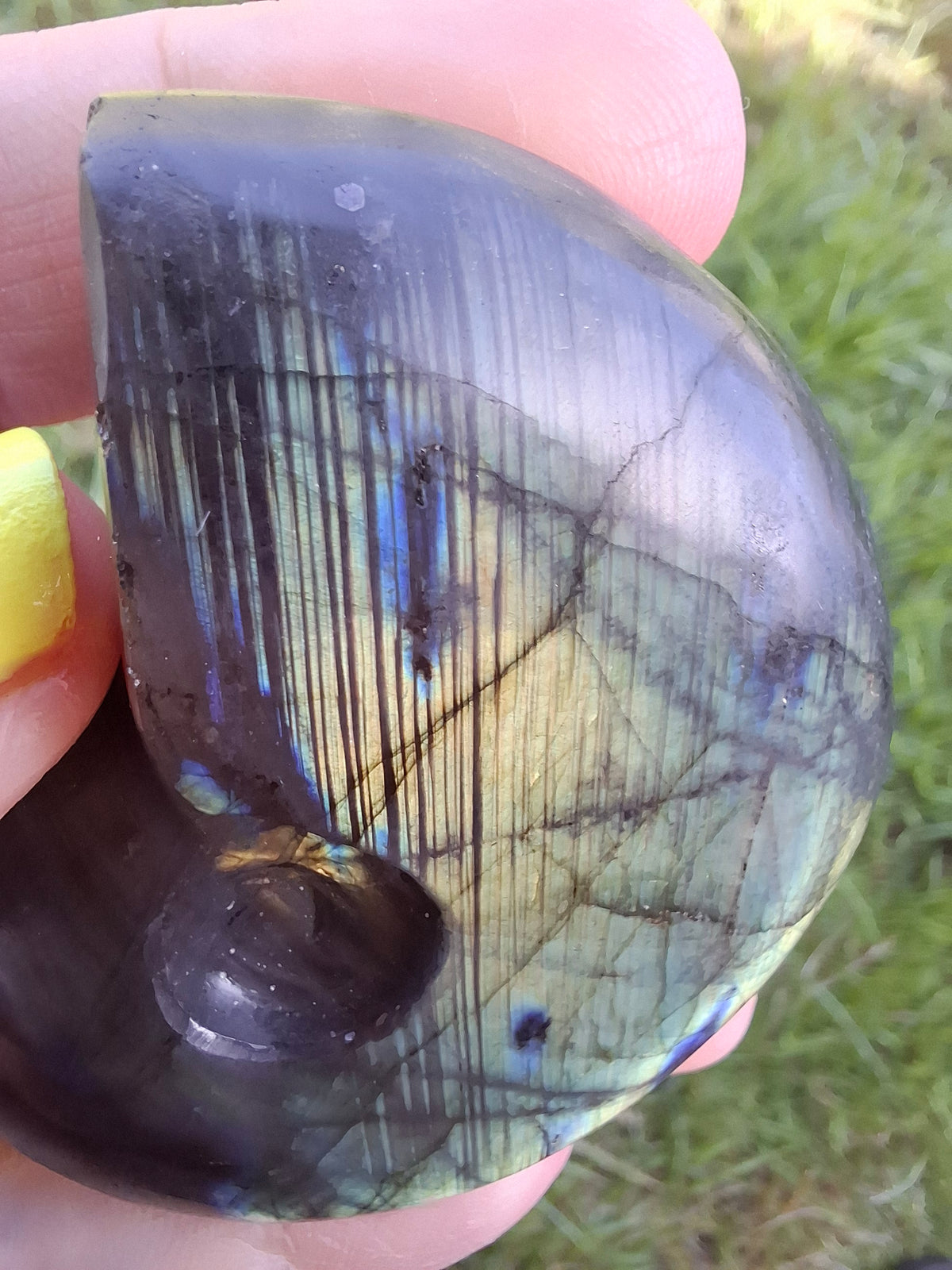 Labradorite Ammonite carving, 96.88g, Crystal (Ref: laba1)