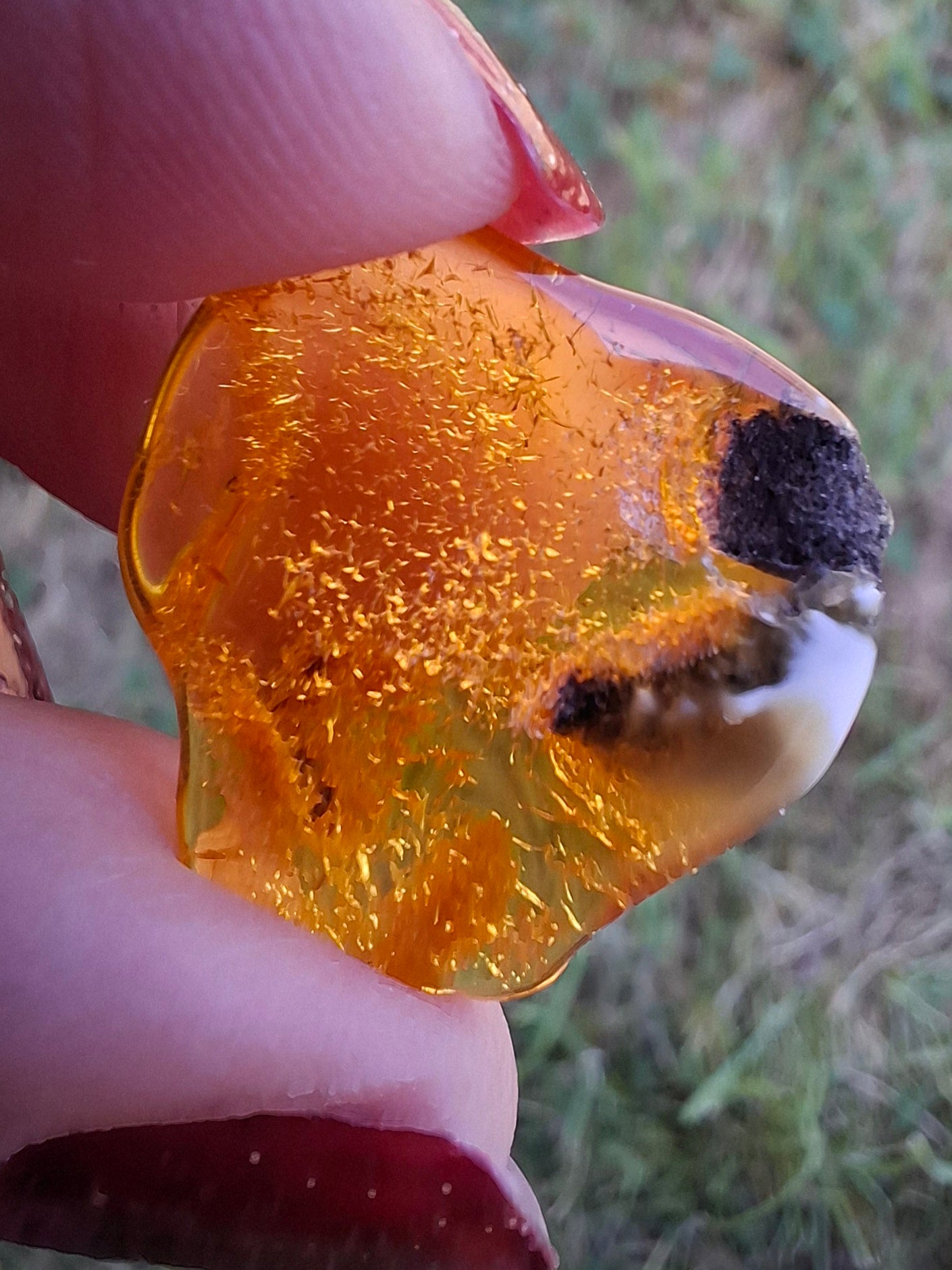 Baltic Amber, 1.45g, Fossil (Ref: A76)