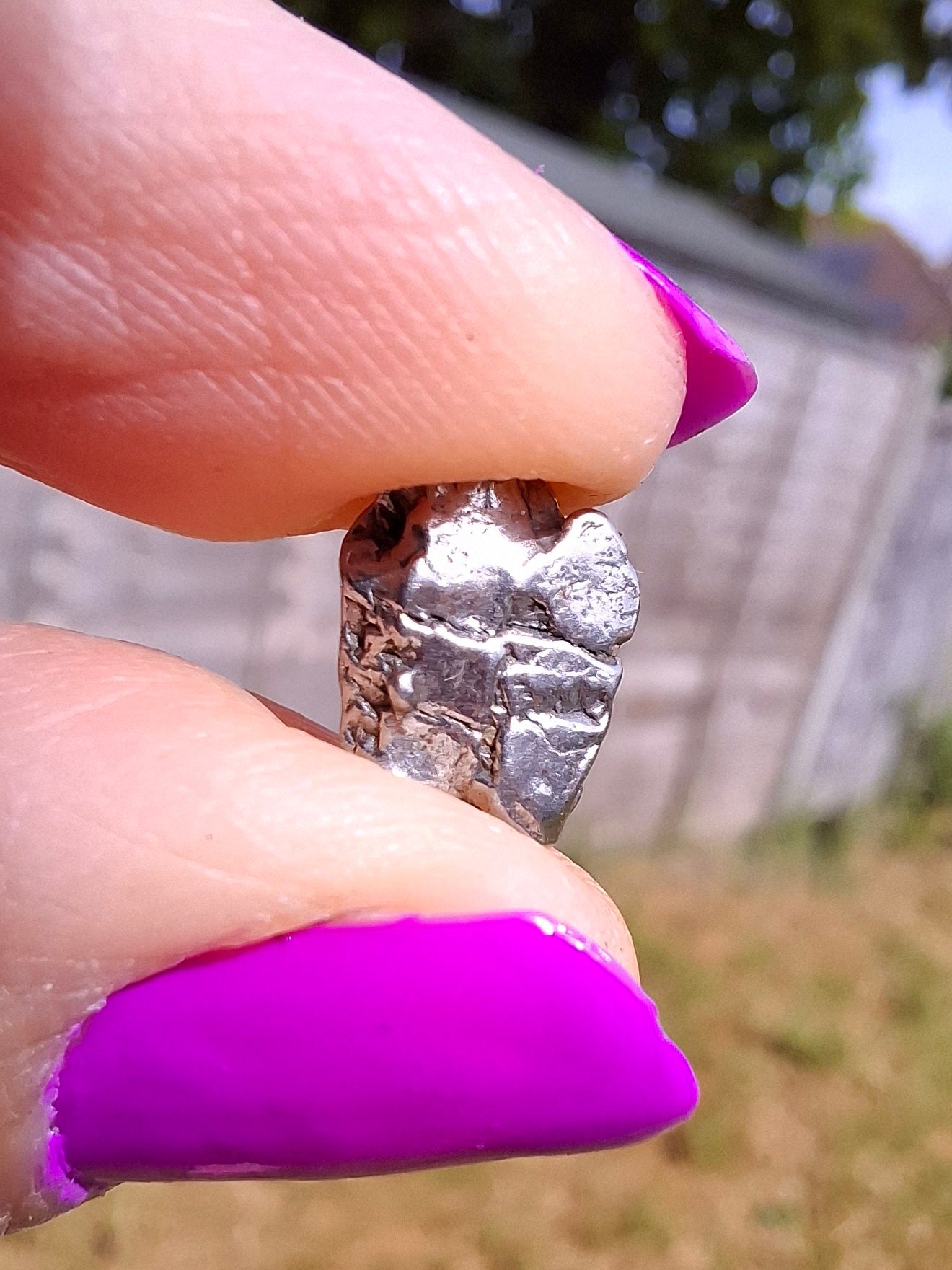 Campo del Cielo, 1.05g, Nickel Iron Meteorite (Ref: C9)