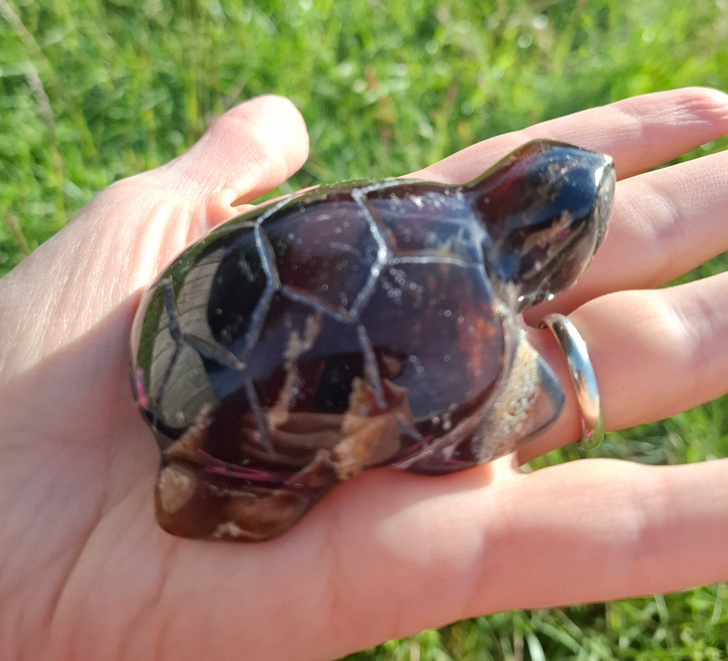 Red Amber Turtle, 56.87g, Carving, Fossil (Ref: TT2)