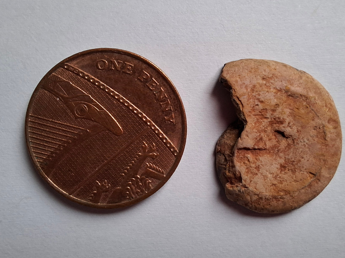 Small Haematite Ammonite HALF, 2.19g, Fossil (Ref: MA3)