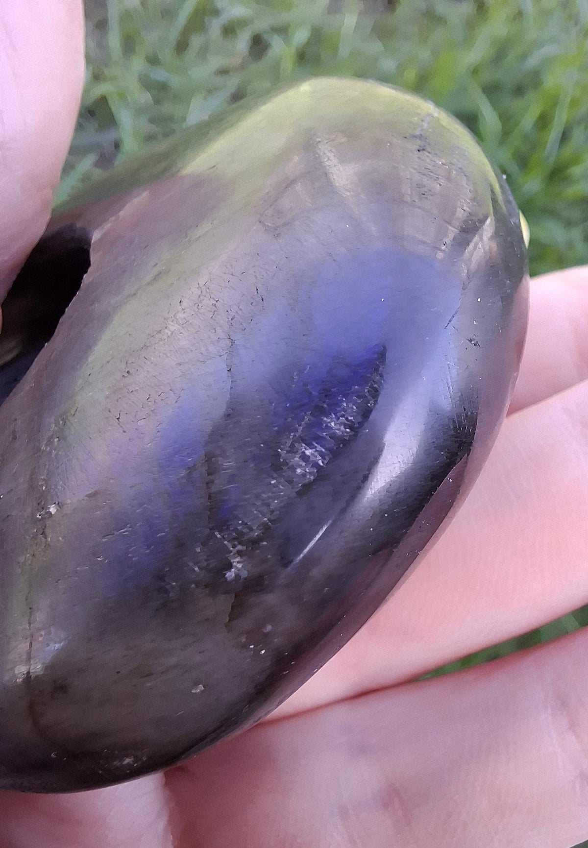 Labradorite Ammonite Carving, 146.90g, Crystal (Ref: laba5)