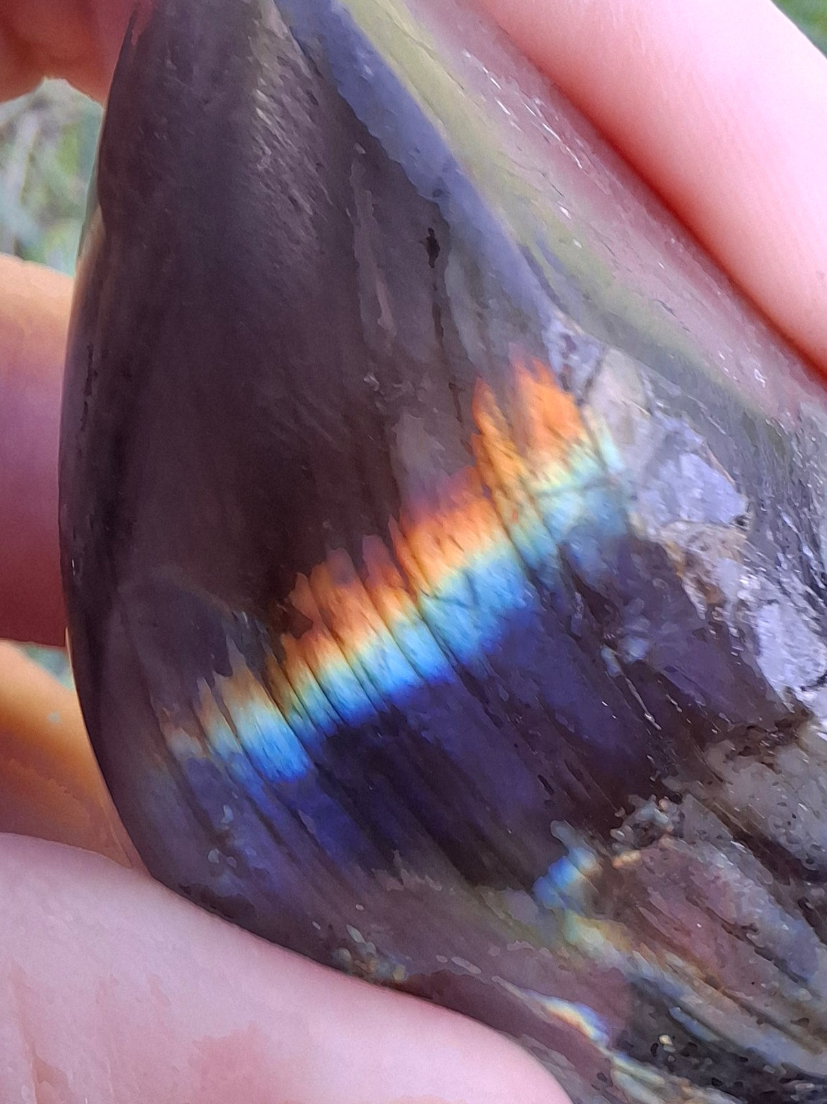 Labradorite Ammonite Carving, 153.97g, Crystal (Ref: laba2)