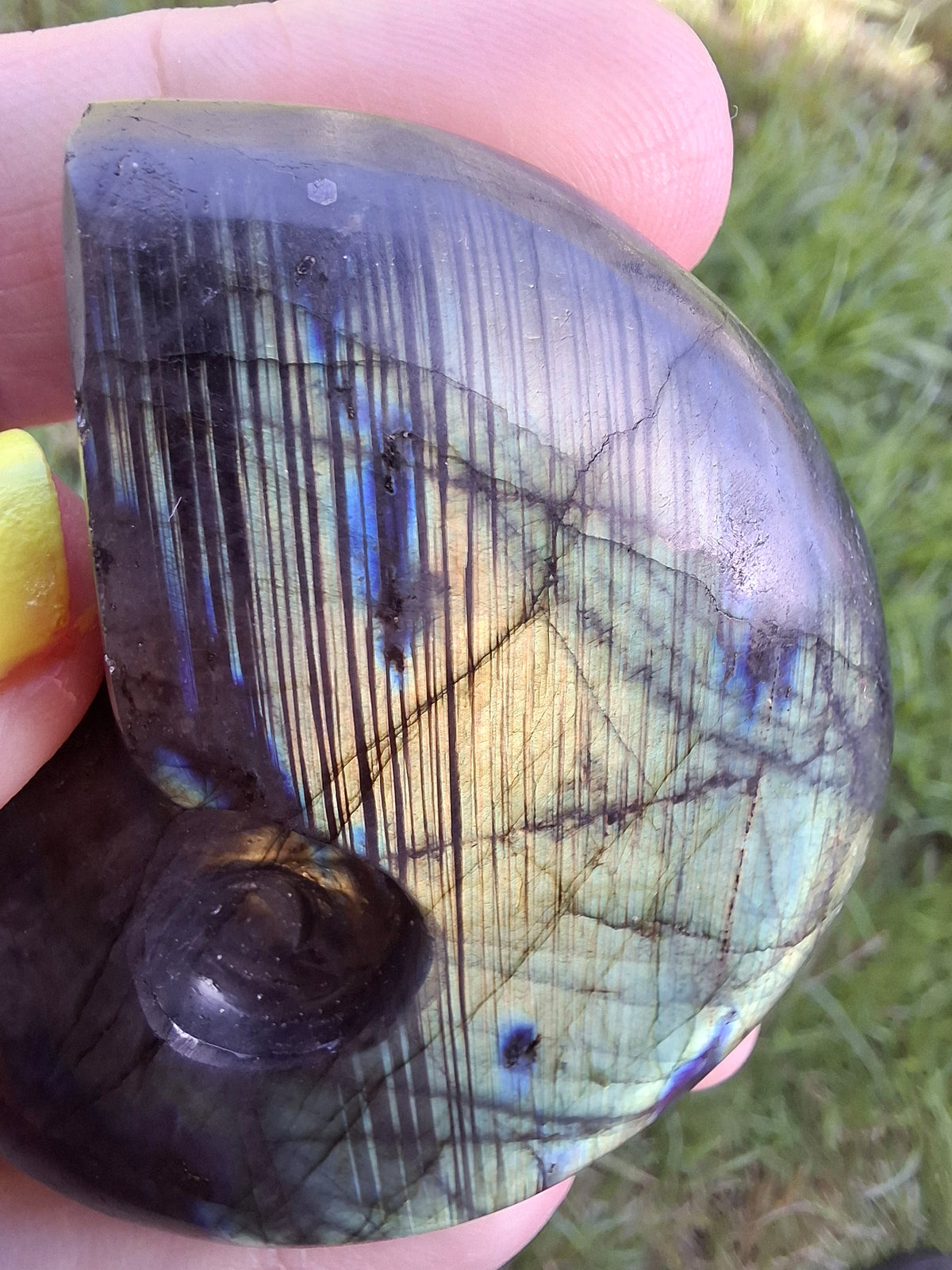 Labradorite Ammonite carving, 96.88g, Crystal (Ref: laba1)