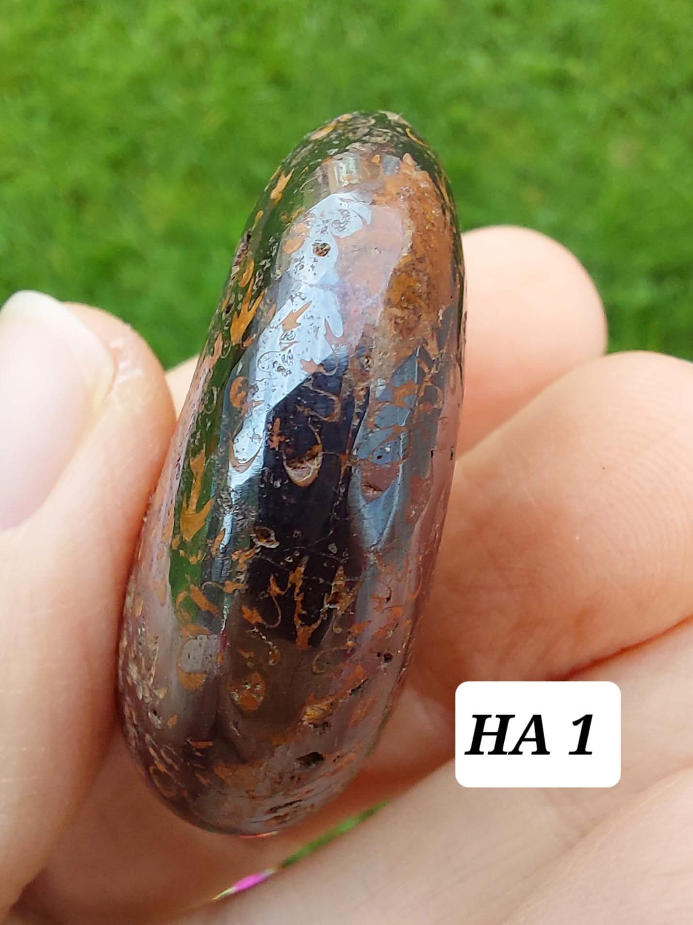 Hematite Ammonite, 21.29g, Fossil (Ref: HA1)