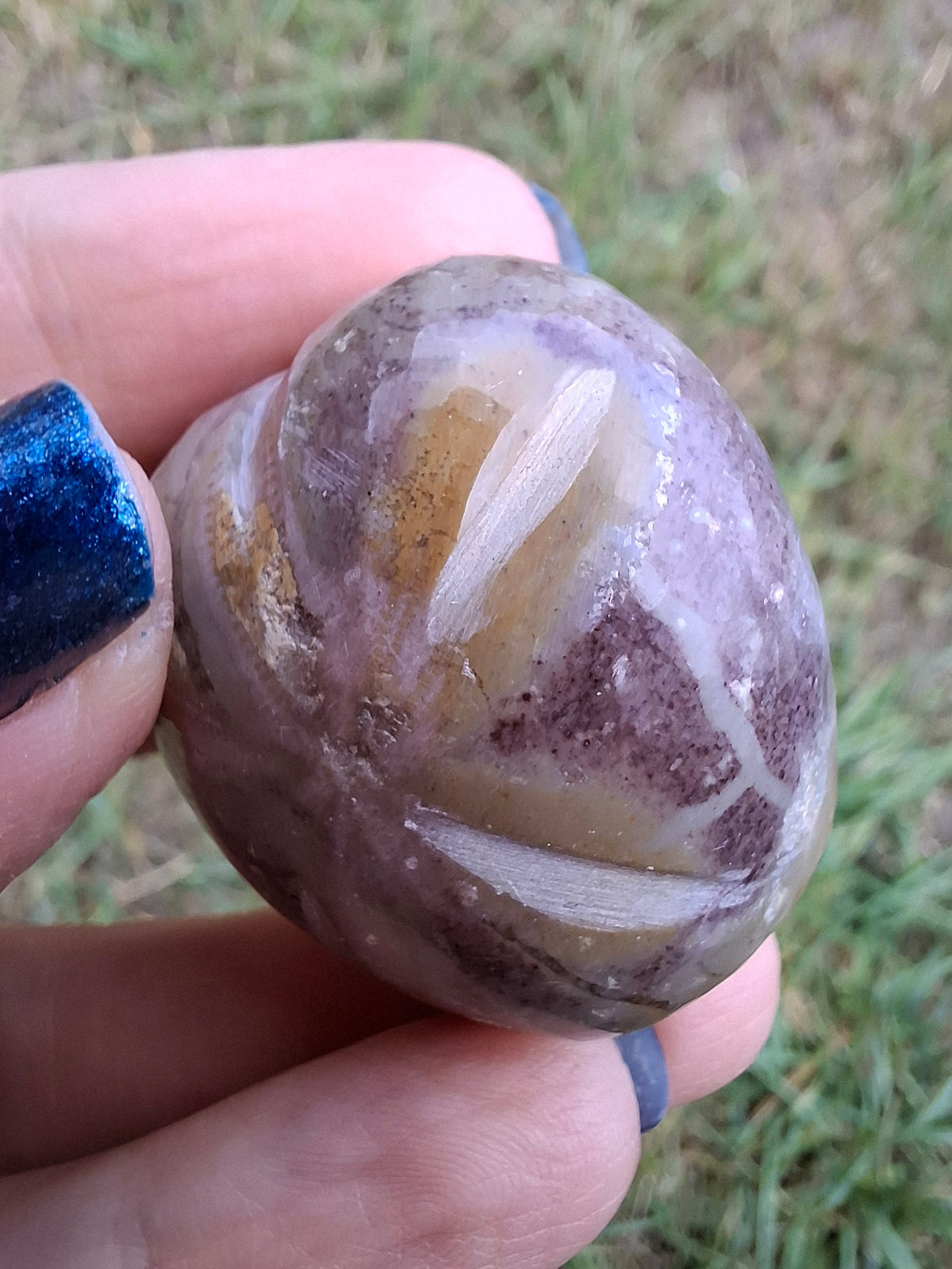 Polished Sea Urchin, Fossil (Ref: SU6)