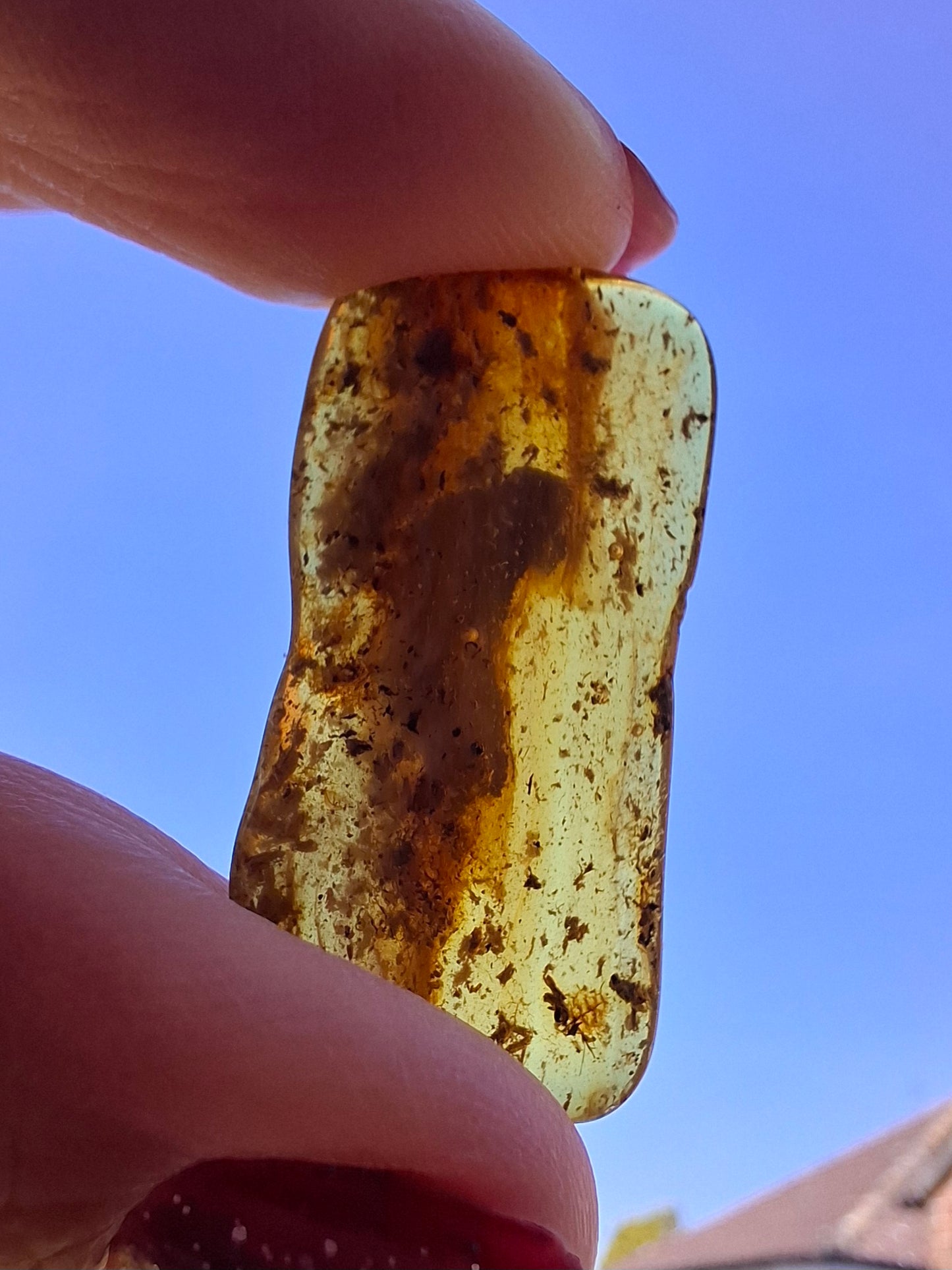 Baltic Amber, 1.84g, Fossil (Ref: A193)