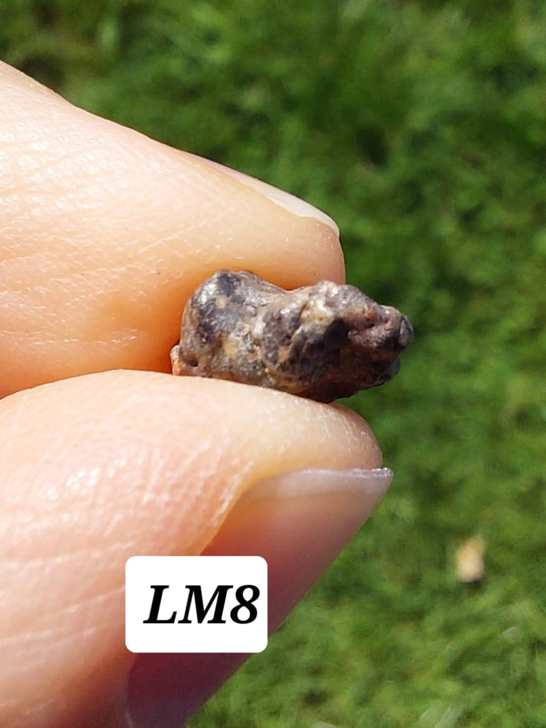 Lunar Meteorite, 0.55g, 'Moon Rock' (Ref: LM8)