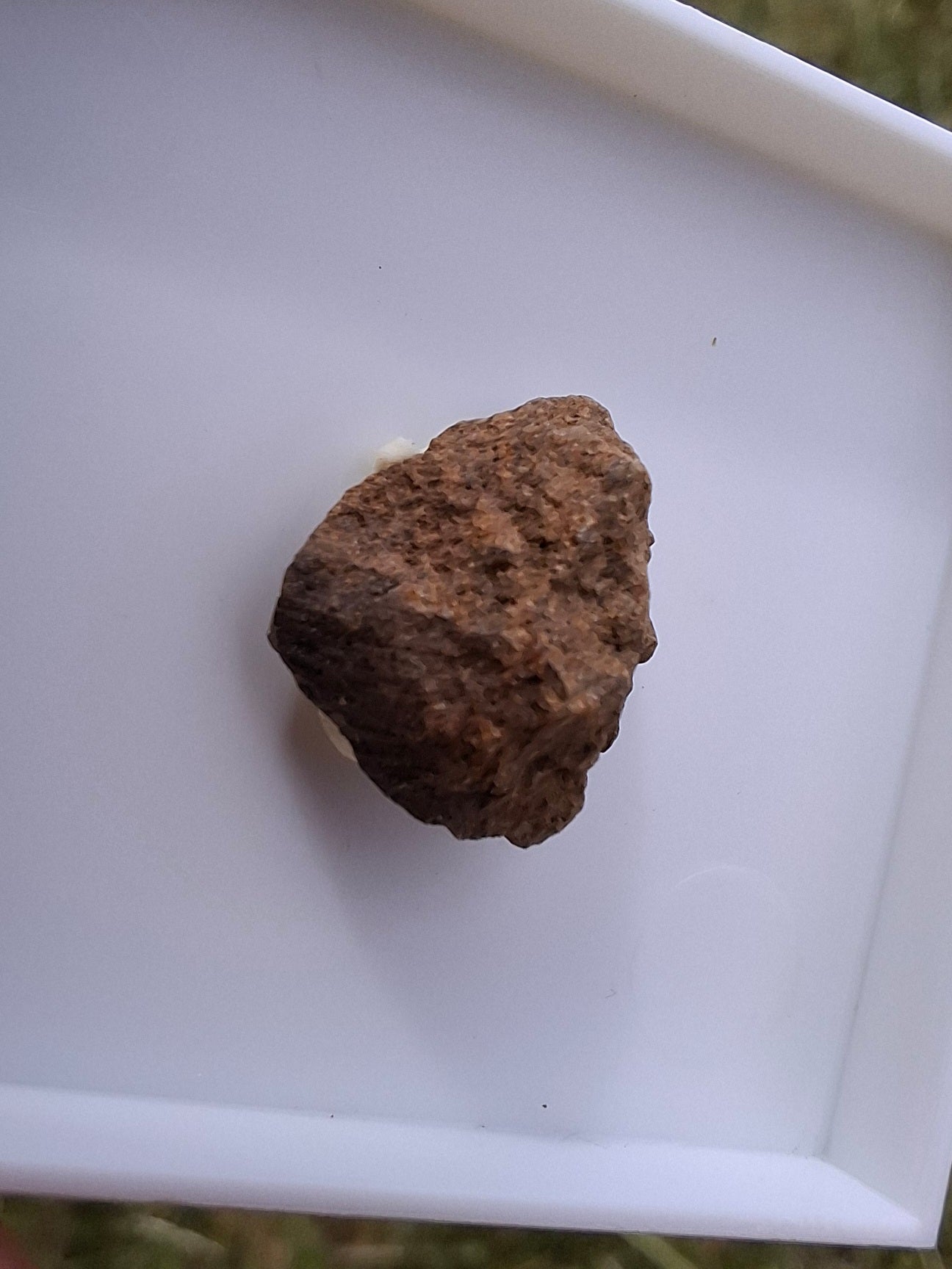 Chondrite, Meteorite (Ref: CM9)
