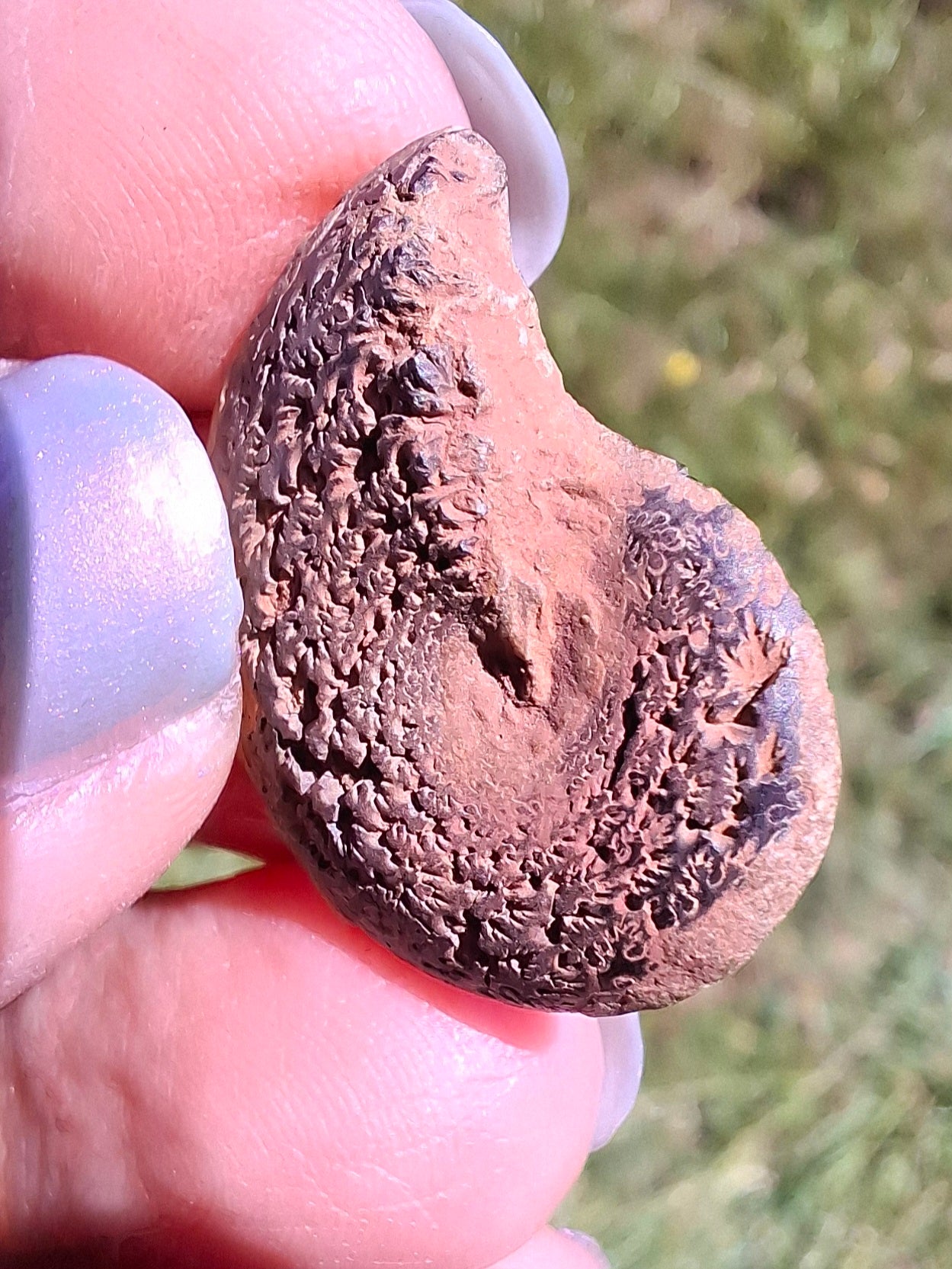 Small Haematite Ammonite HALF, 2.55g, Fossil (Ref: MA8)