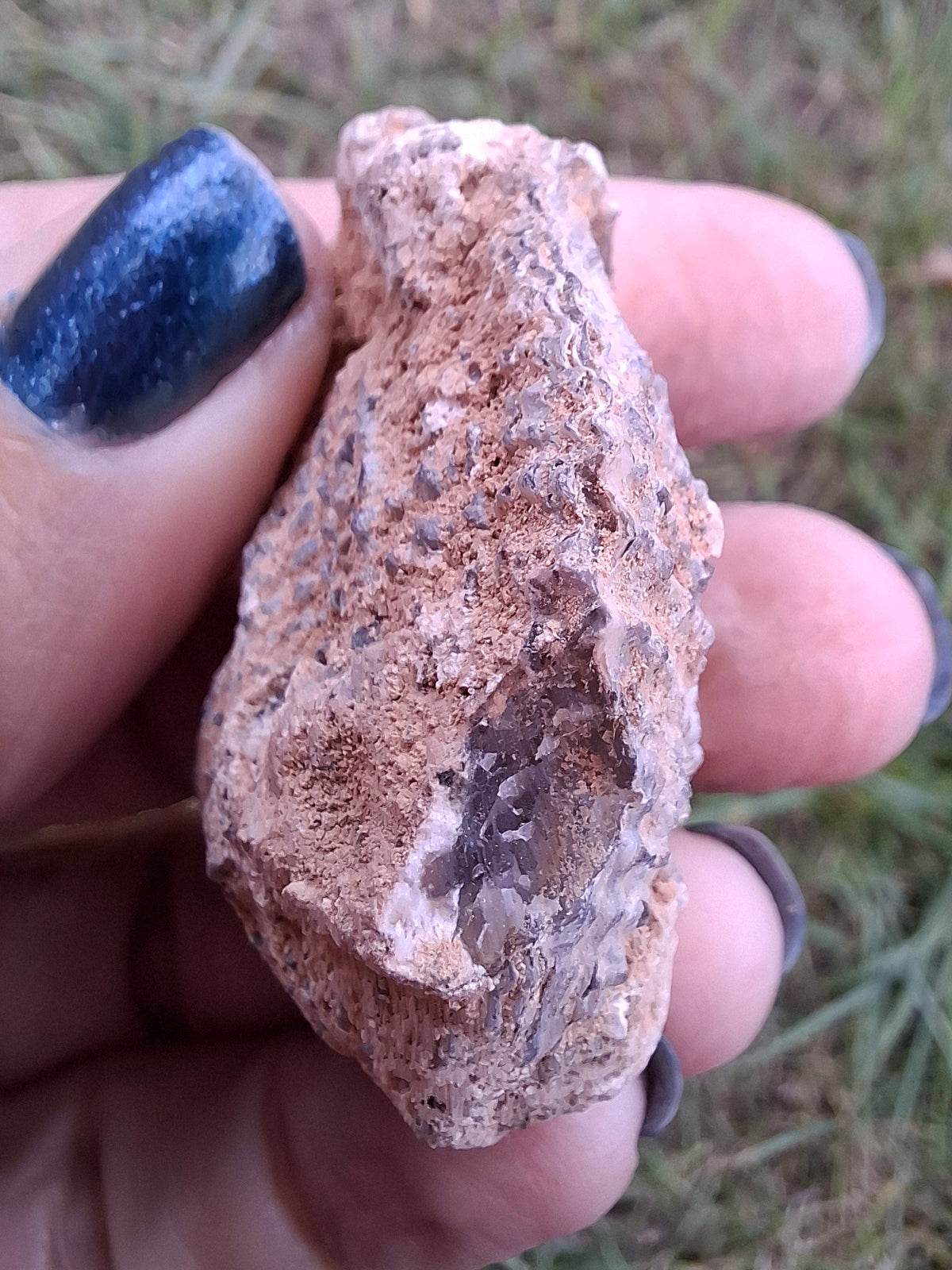 Chalcedony Oyster, Fossil (Ref: FO2)