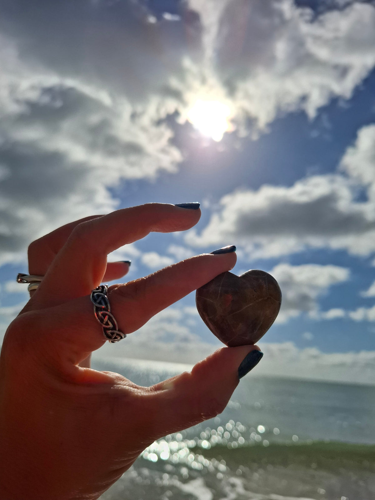 Fossil Coral Heart (Ref: CoH3)
