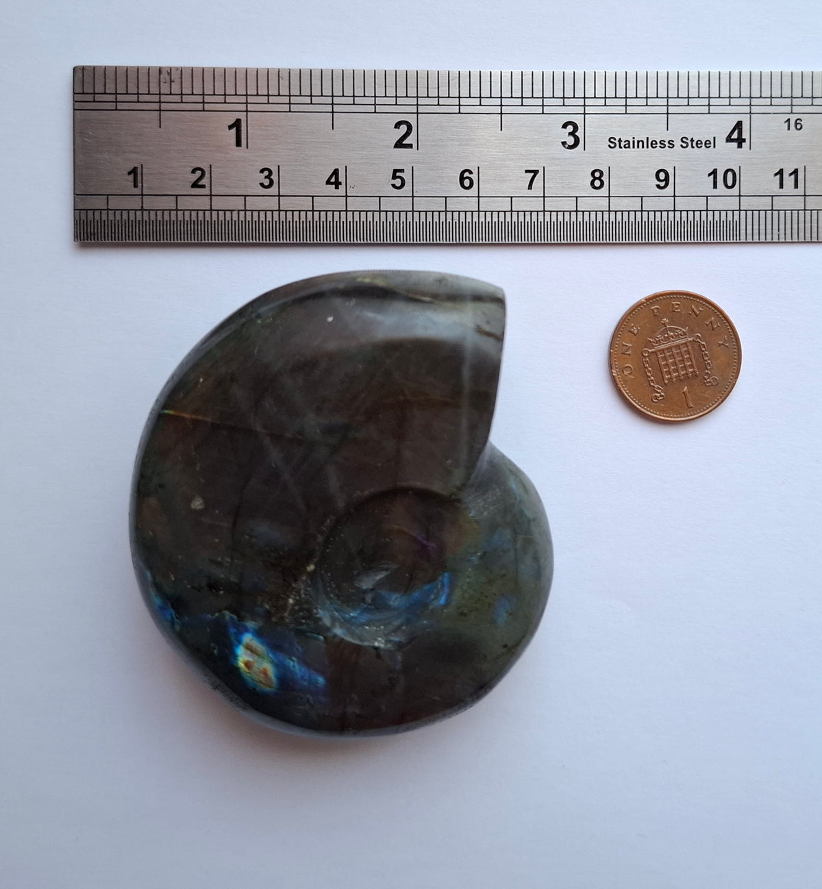 Labradorite Ammonite Carving, 146.90g, Crystal (Ref: laba5)