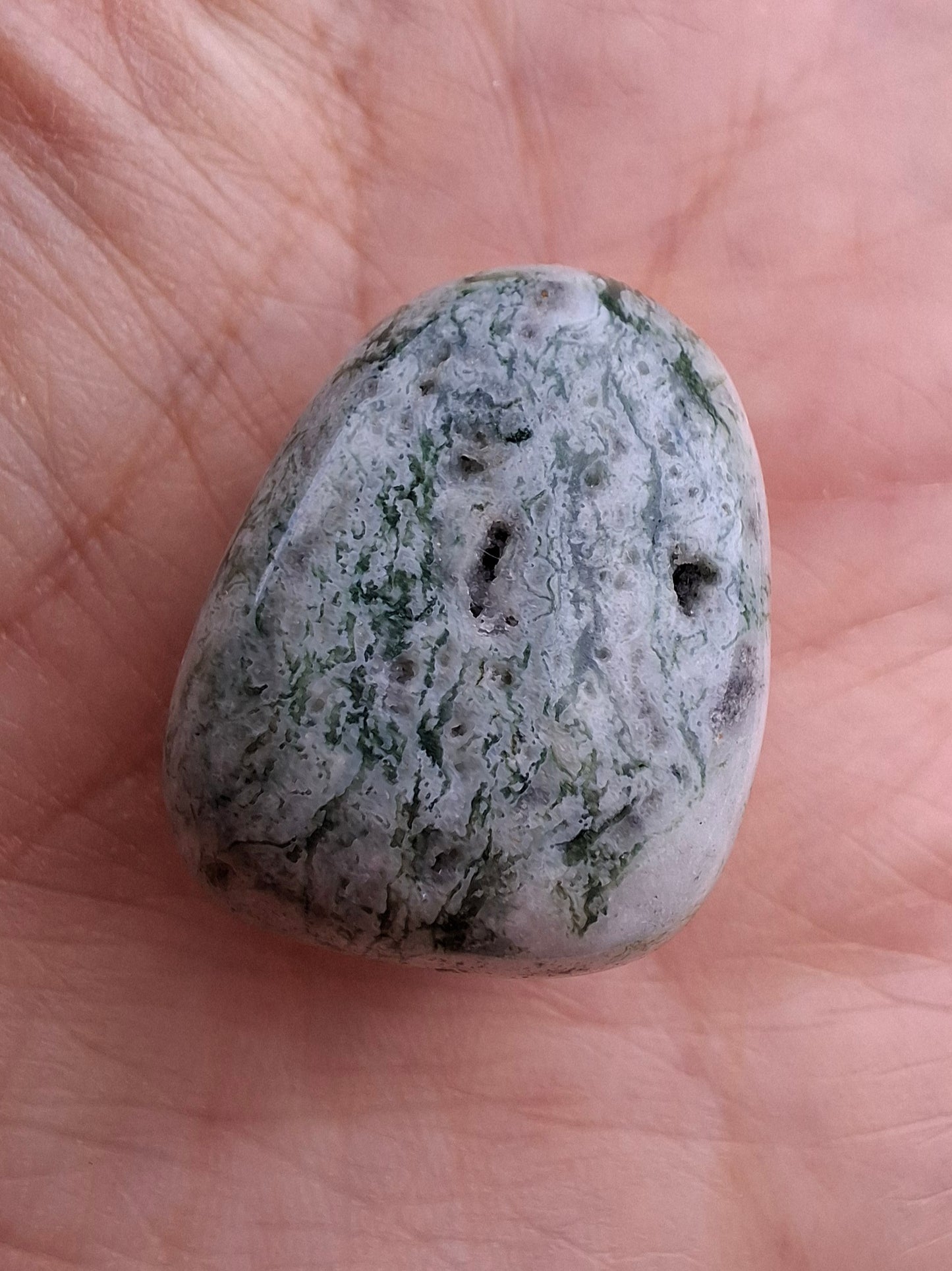 Tree Agate, Tumble Stone, Crystal (Ref: T7)