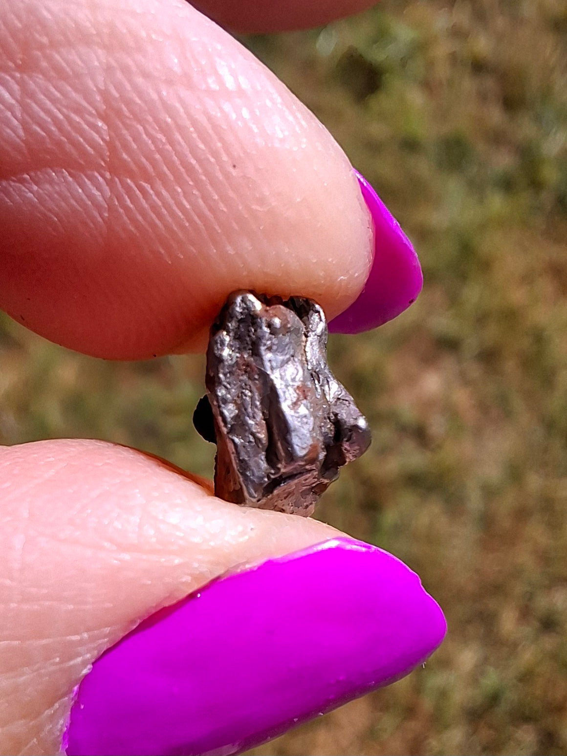 Campo del Cielo, 1.20g, Nickel Iron Meteorite (Ref: C12)