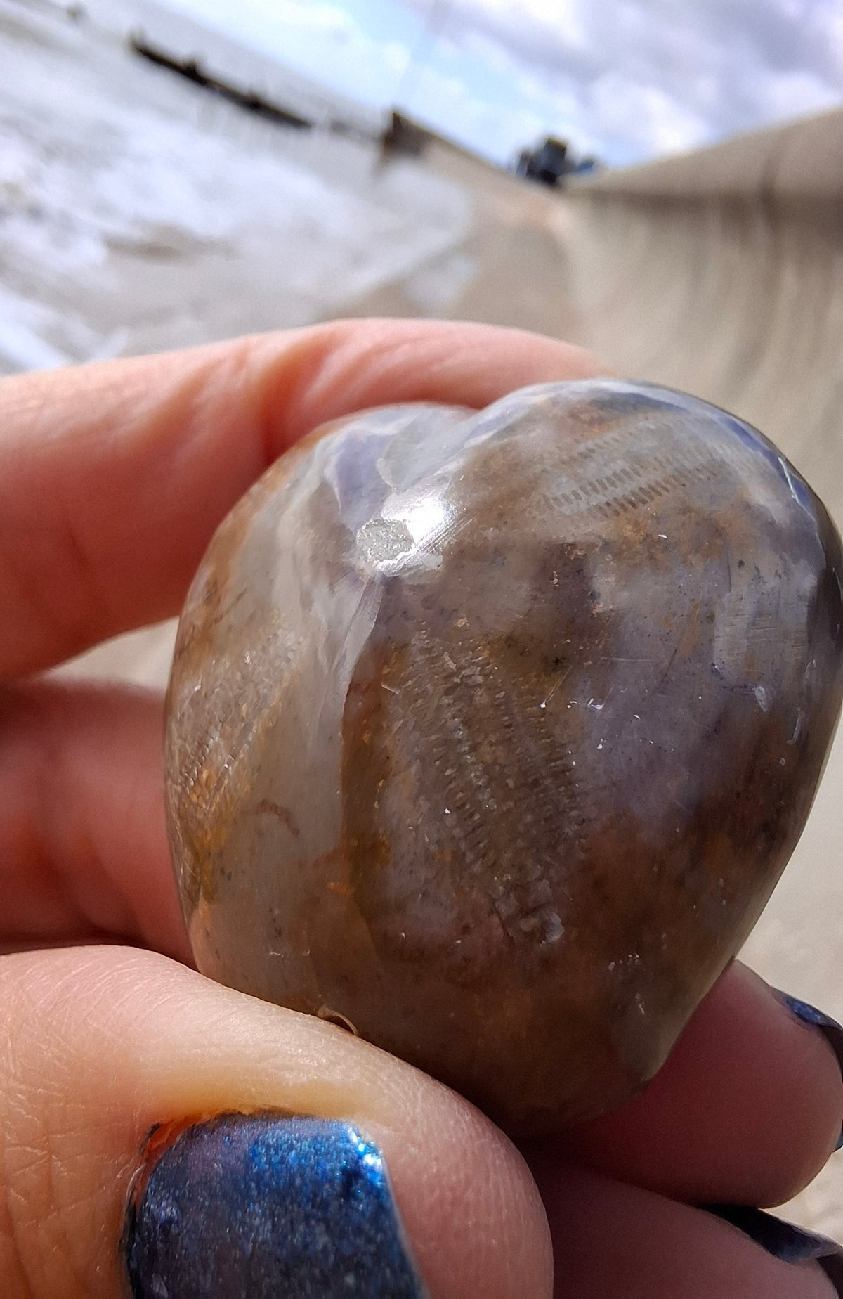 Polished Sea Urchin, Fossil (Ref: SU3)