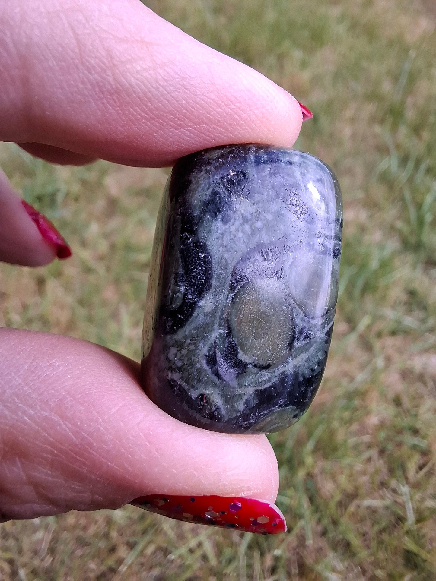 Kambaba Jasper, Tumble Stone, Crystal (Ref: T161)