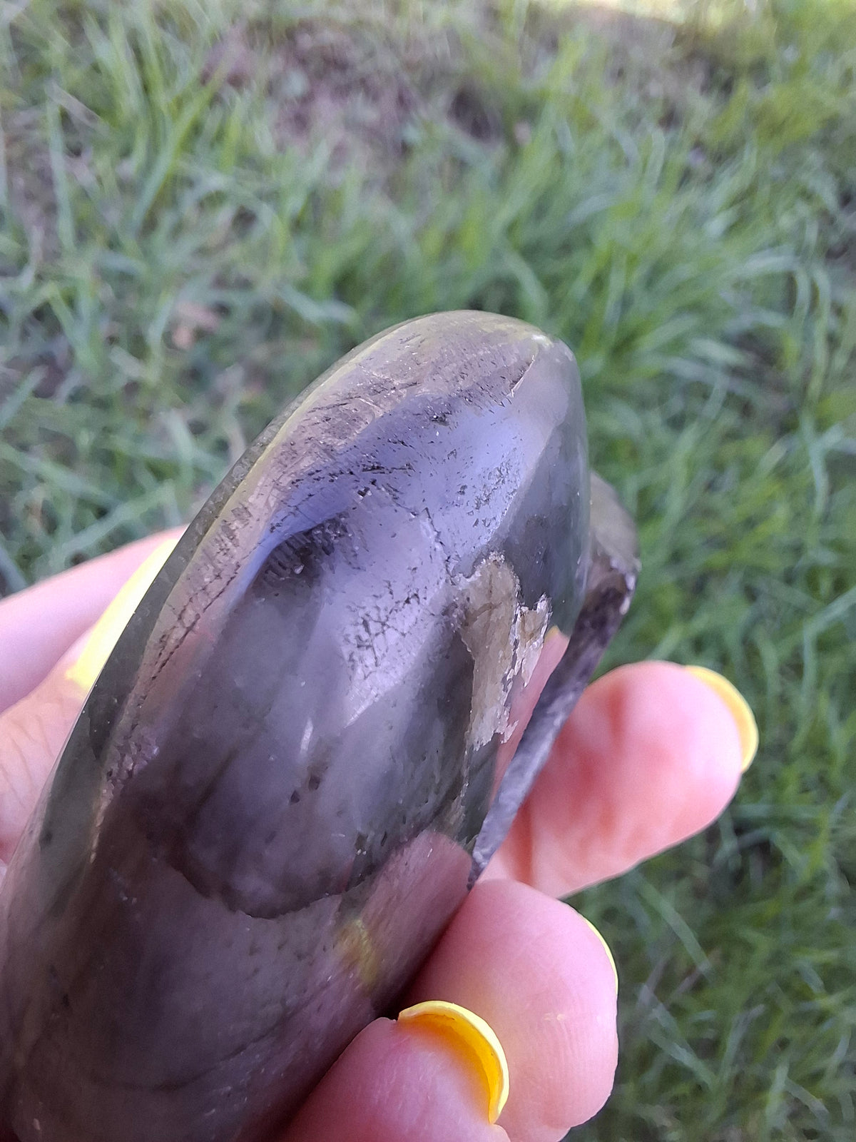 Labradorite Ammonite Carving, 146.90g, Crystal (Ref: laba5)