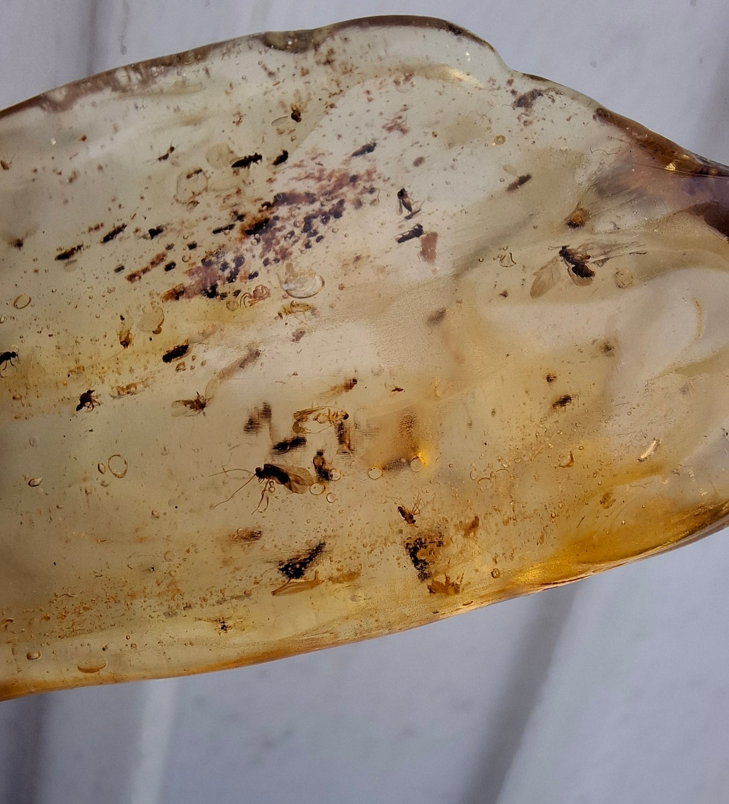 Copal Young Amber with INSECTS inside, 28.43g, Fossil (Ref: CA10)