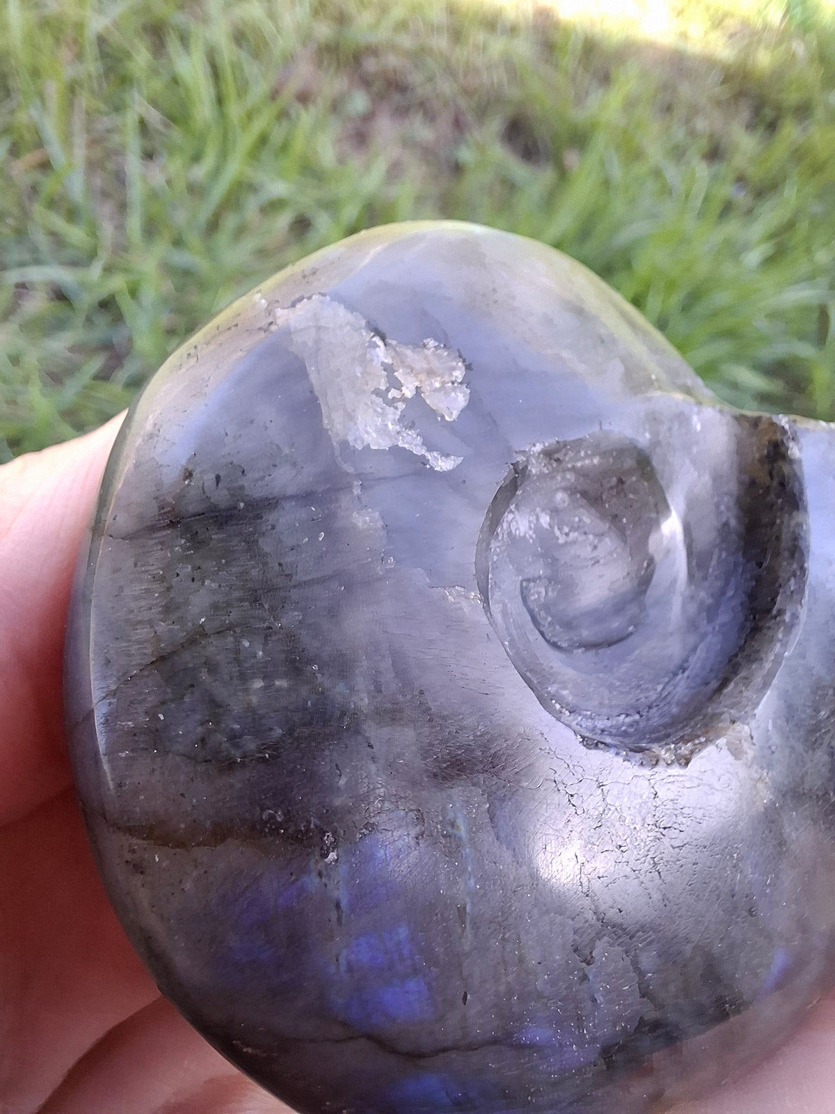 Labradorite Ammonite Carving, 146.90g, Crystal (Ref: laba5)