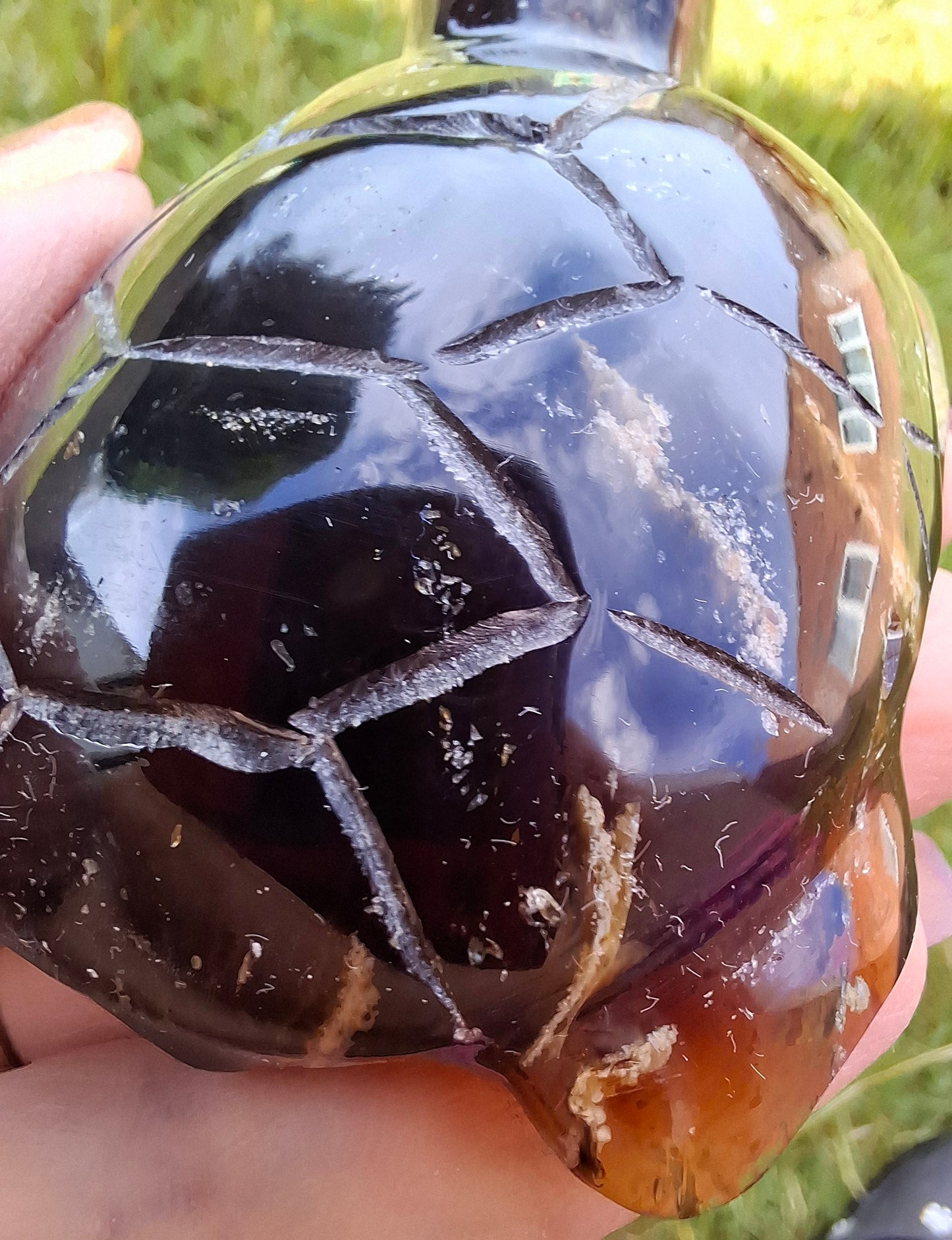 Red Amber Turtle, 56.87g, Carving, Fossil (Ref: TT2)
