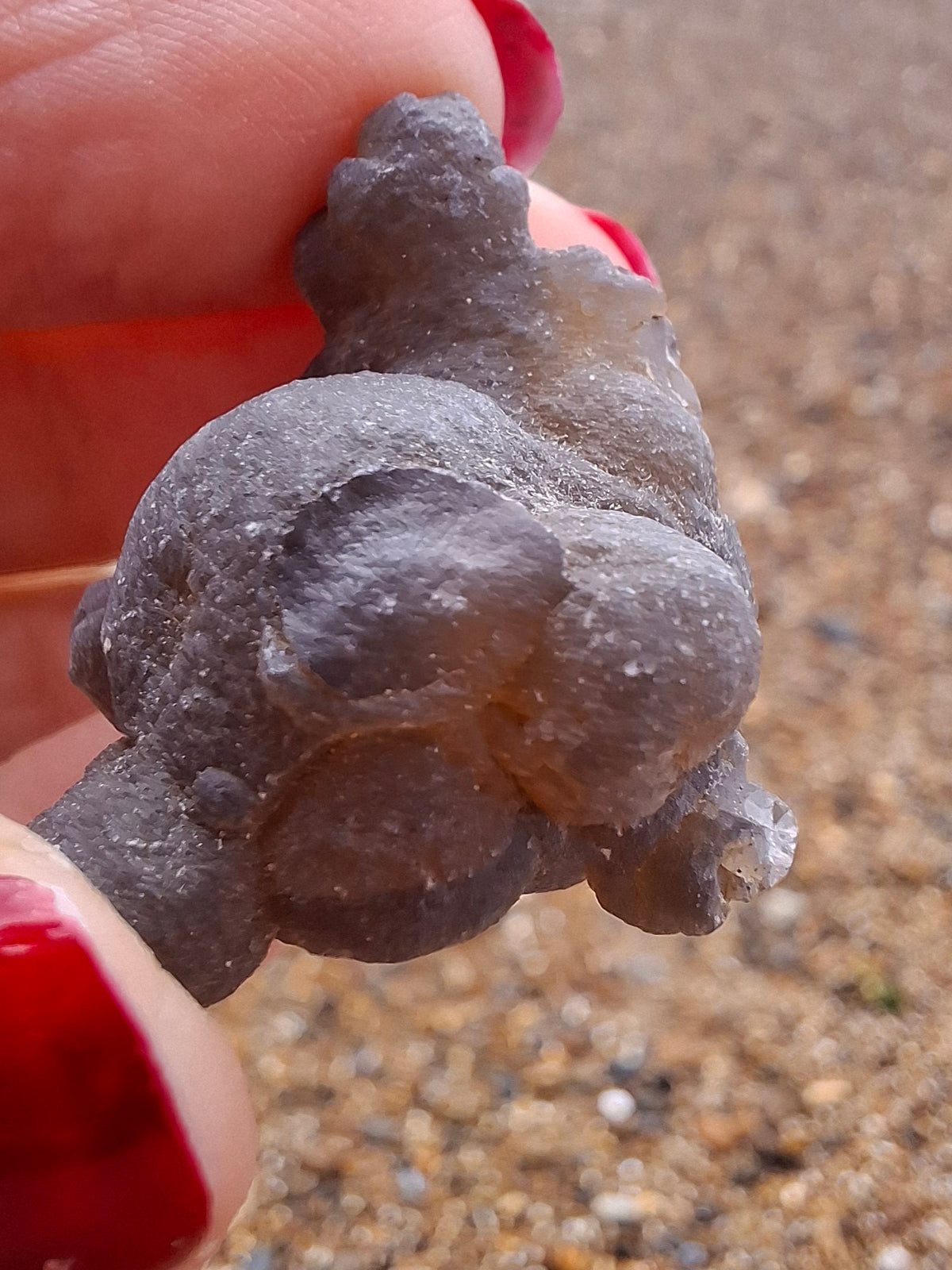 Nebula Chalcedony, 13.45g, Fossil (Ref: NC2)