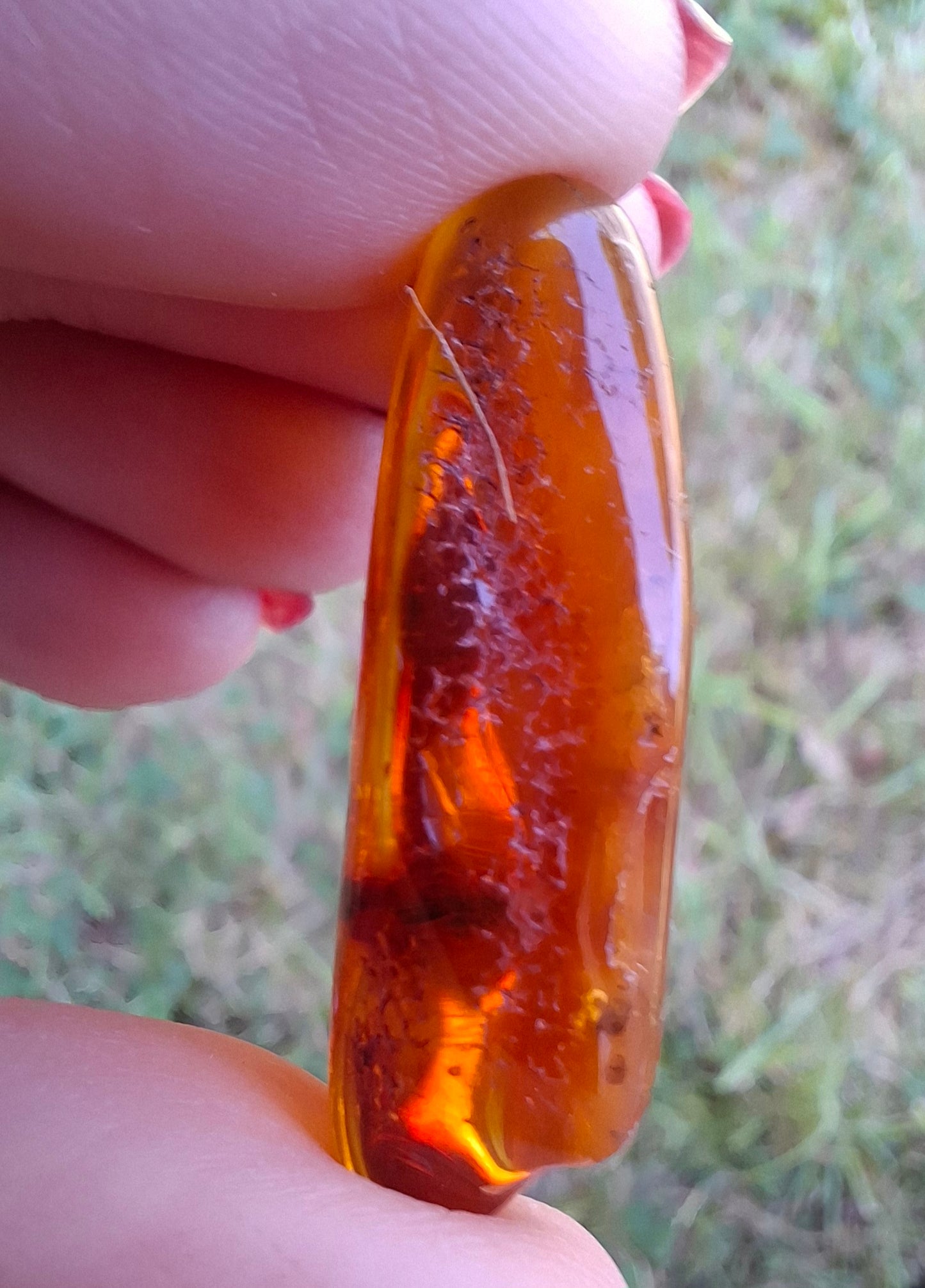 Baltic Amber, 4.50g, Fossil (Ref: A151)