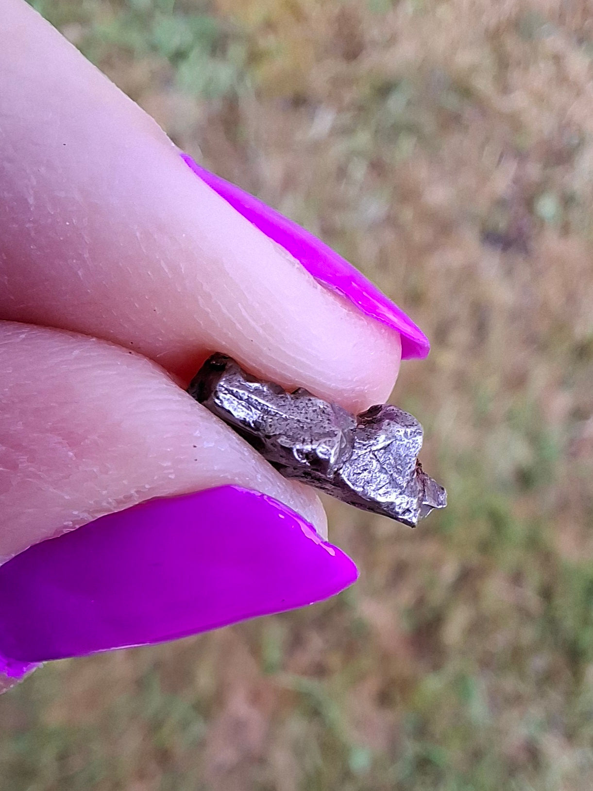 Campo del Cielo, 0.95g, Nickel Iron Meteorite (Ref: C2)