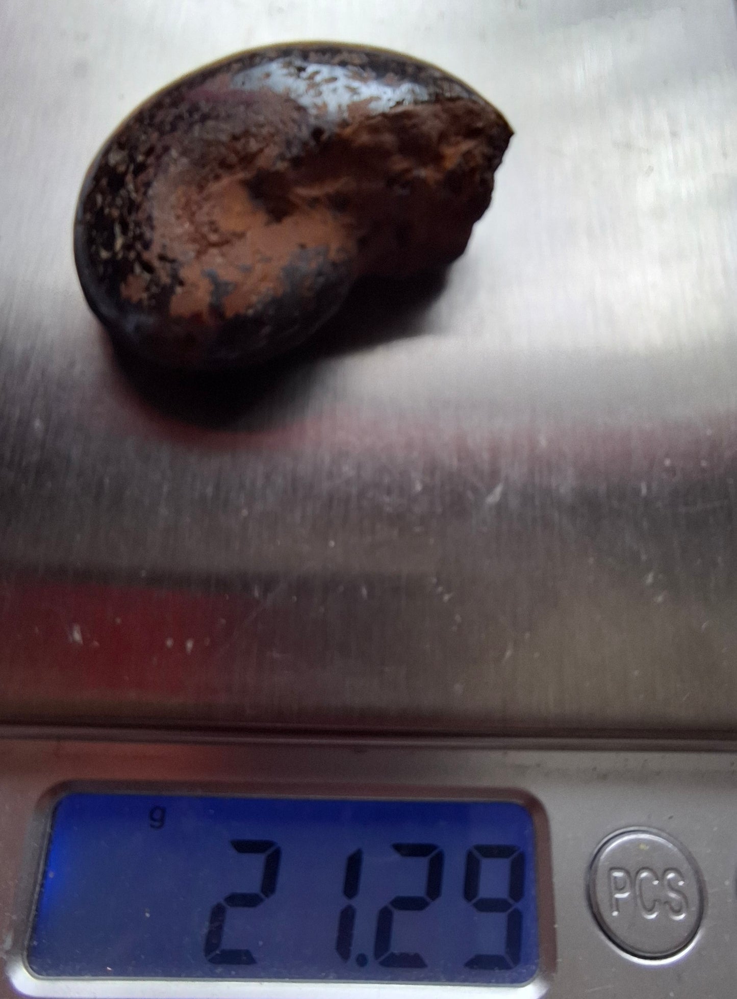 Hematite Ammonite, 21.29g, Fossil (Ref: HA1)
