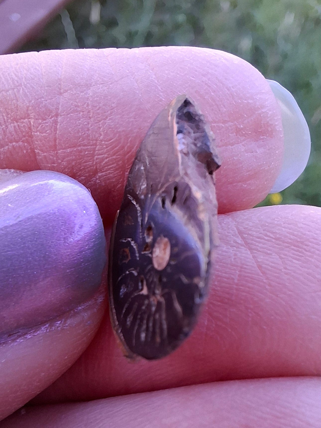 Small Haematite Ammonite HALF, 1.32g, Fossil (Ref: MA5)