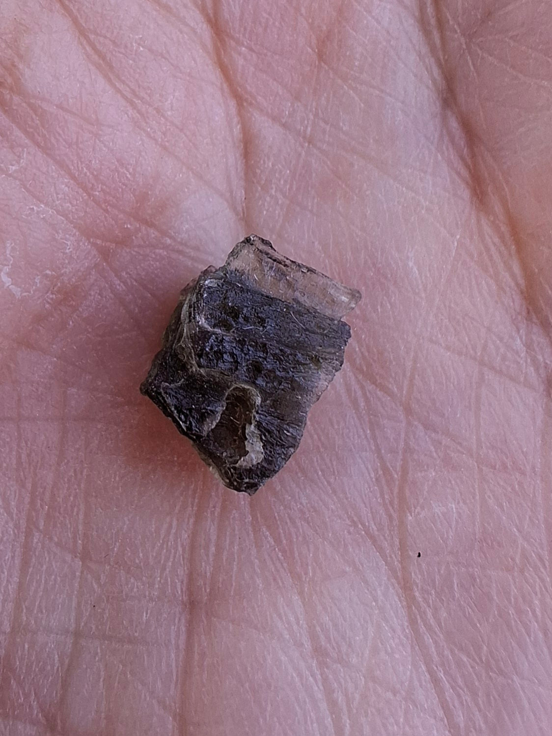 Moldavite Piece, 0.50g, Tektite (Ref: 1395)