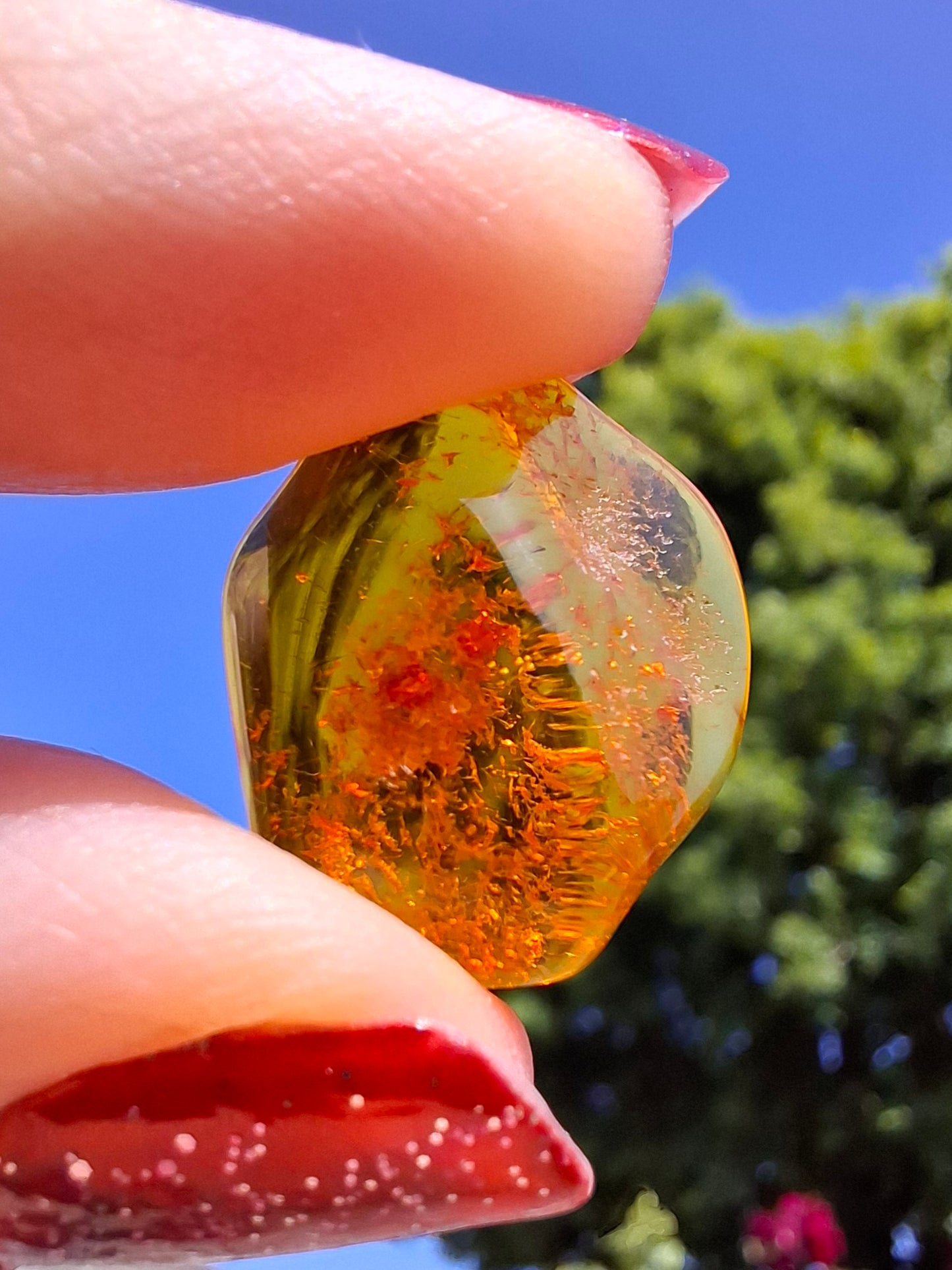 Baltic Amber, 1.12g, Fossil (Ref: A111)