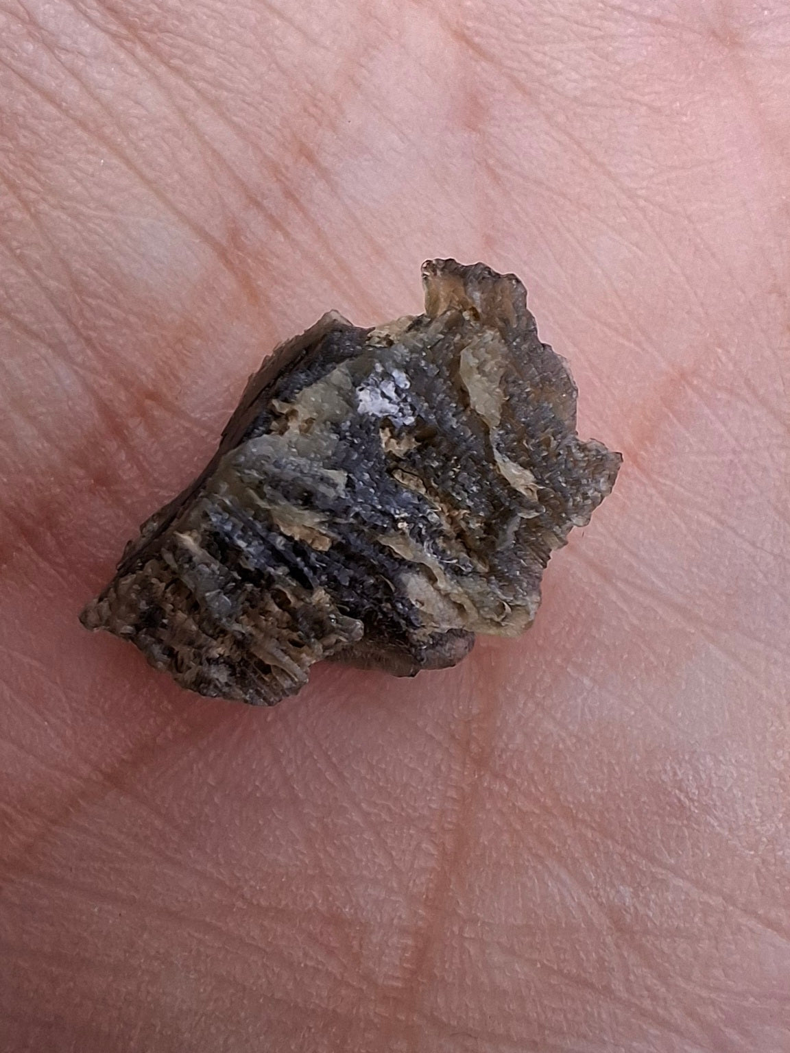 Moldavite Piece, 1.07g, Tektite (Ref: 1422)