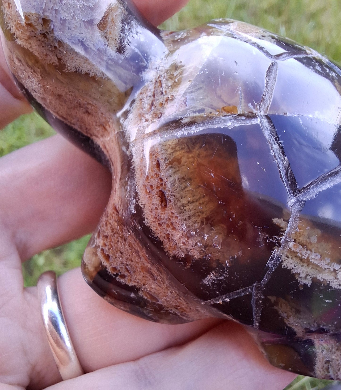 Red Amber Turtle, 56.87g, Carving, Fossil (Ref:TT7)