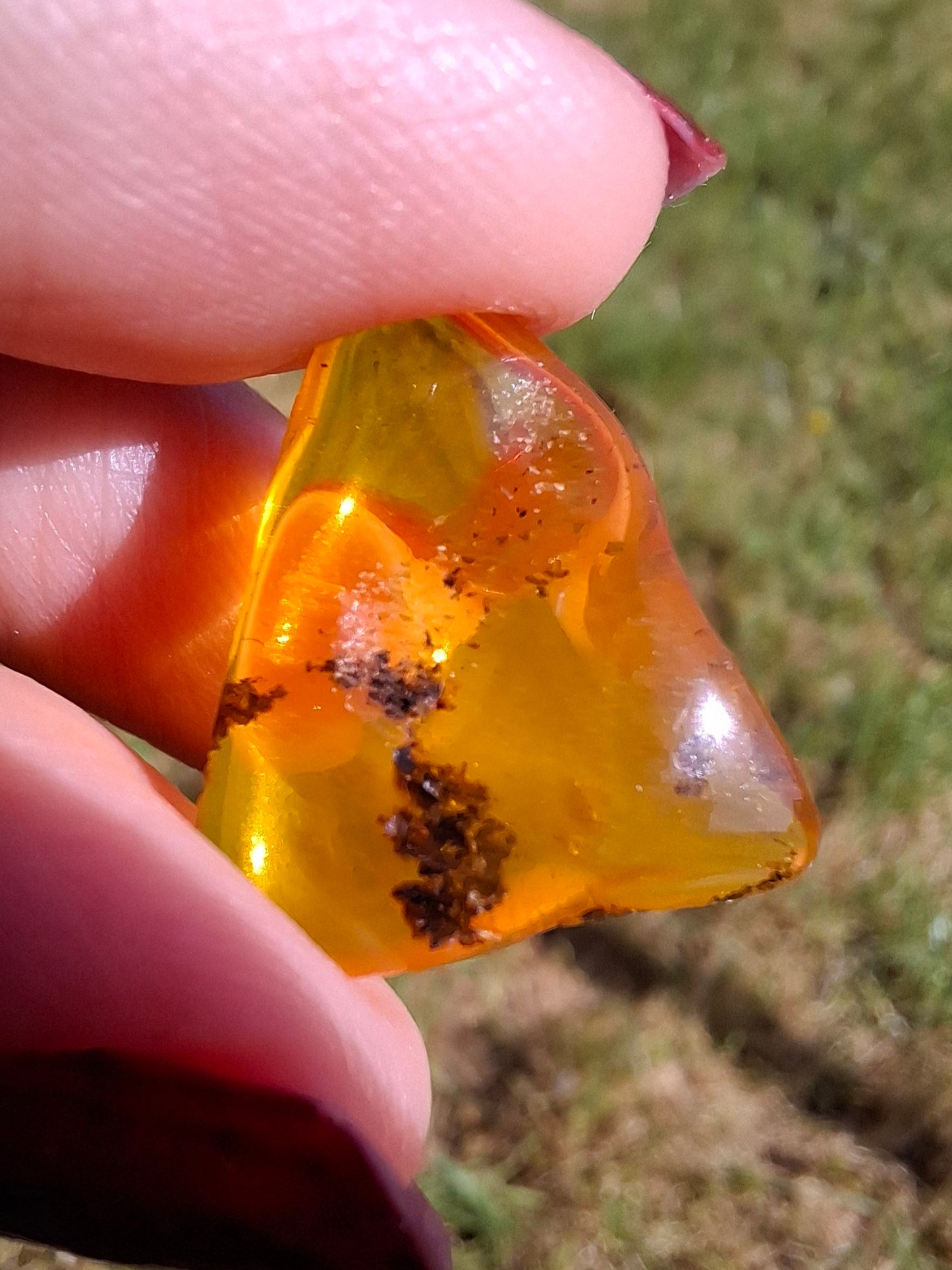 Baltic Amber, 0.91g, Fossil (Ref: A240)
