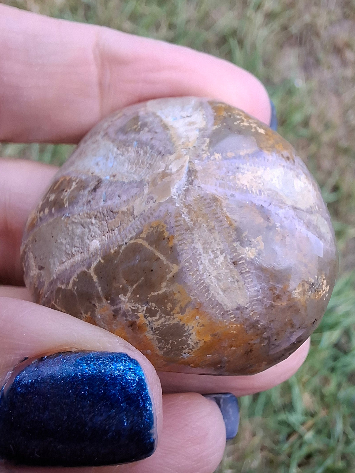 Polished Sea Urchin, Fossil (Ref: SU5)