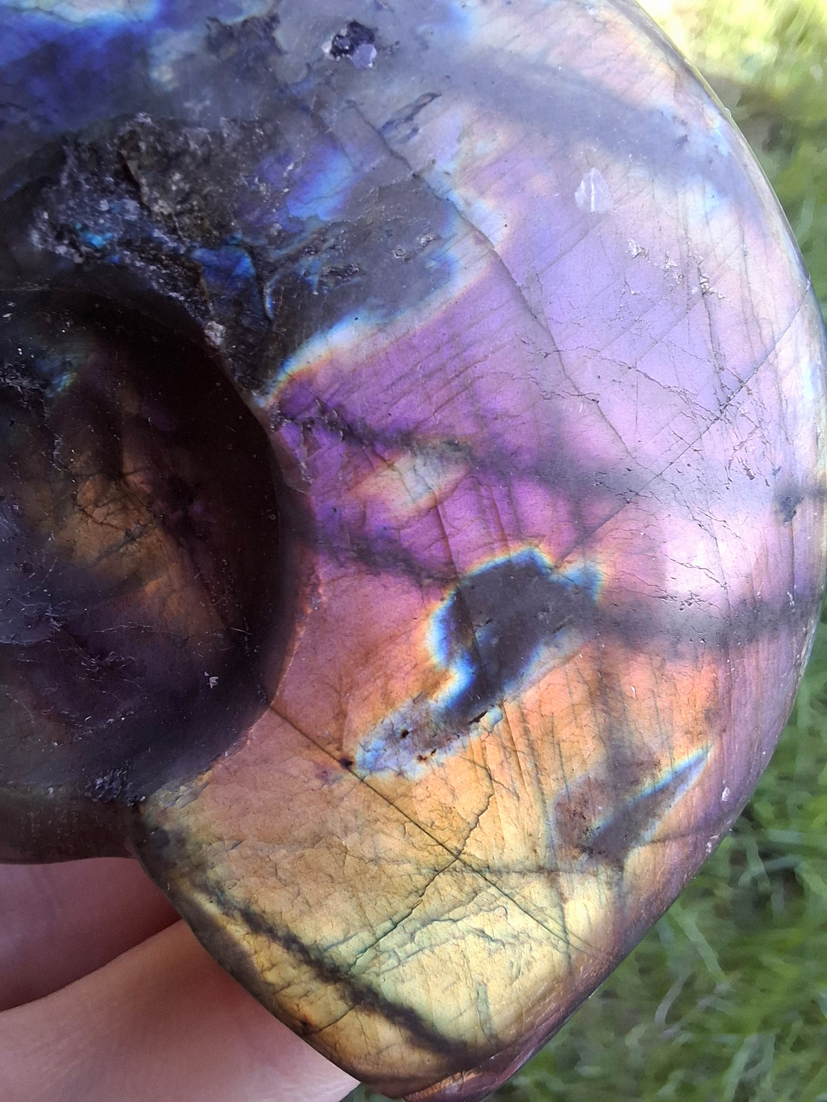 Labradorite Ammonite Carving, 146.90g, Crystal (Ref: laba5)